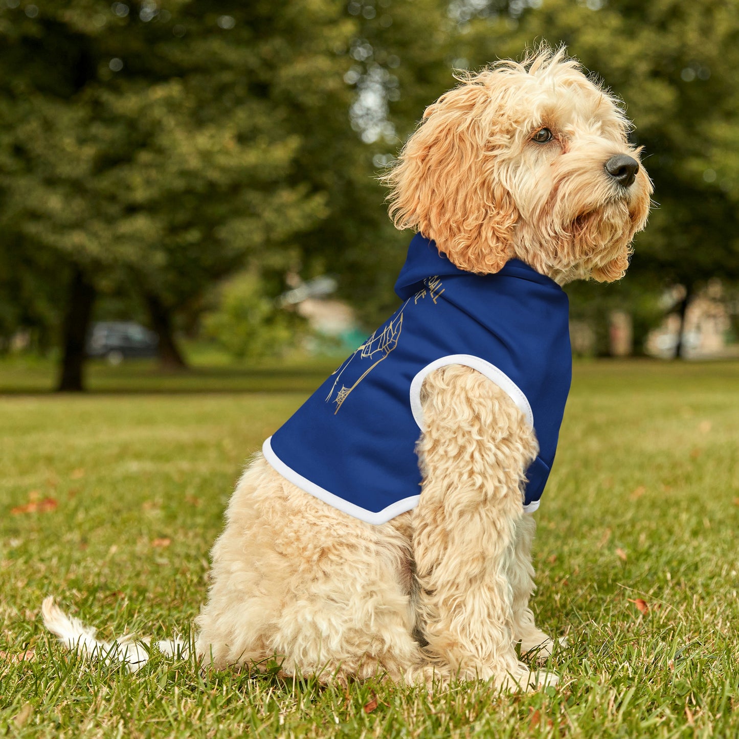 My Crystal Ball Dk Blue Dog Hoodie