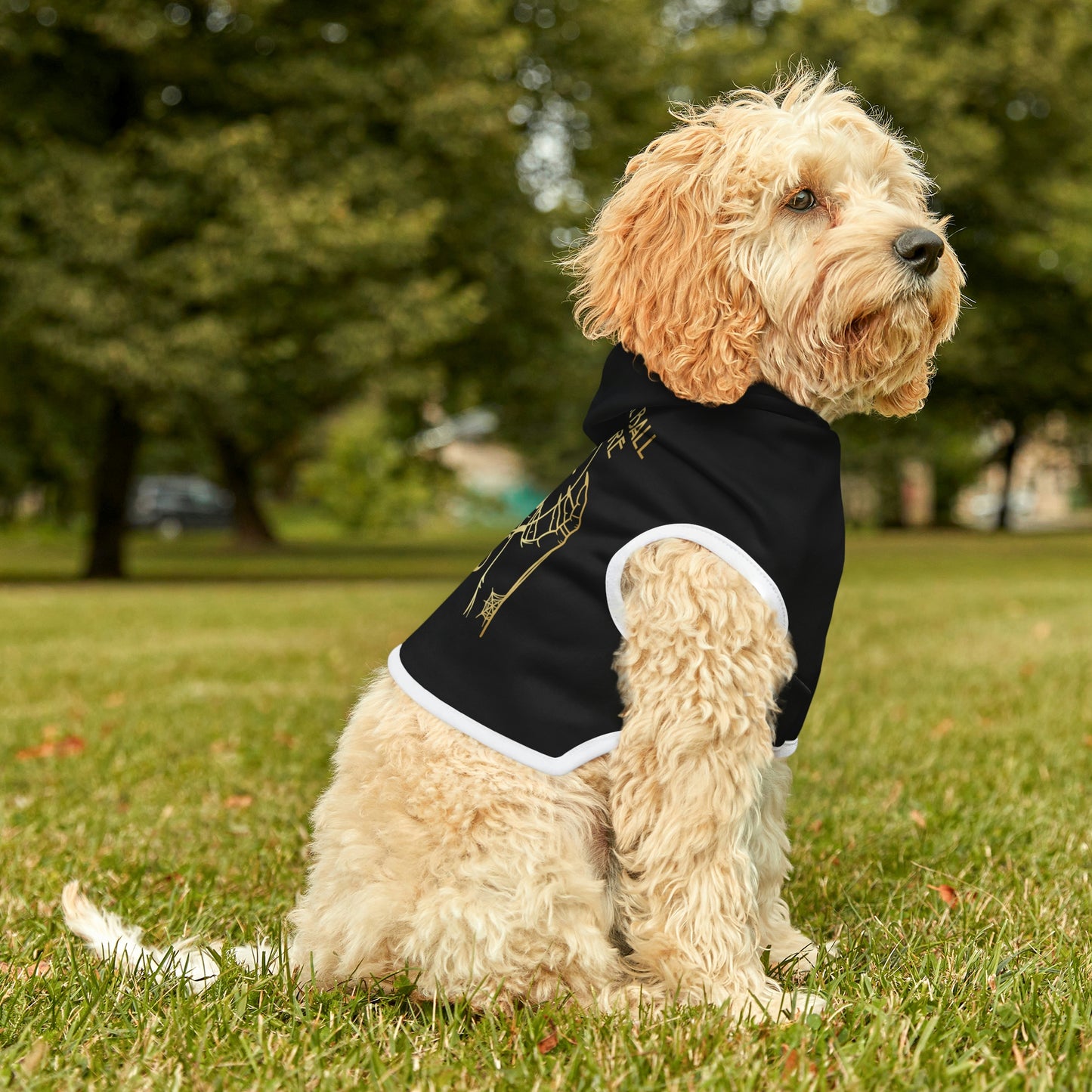 My Crystal Ball Black Dog Hoodie