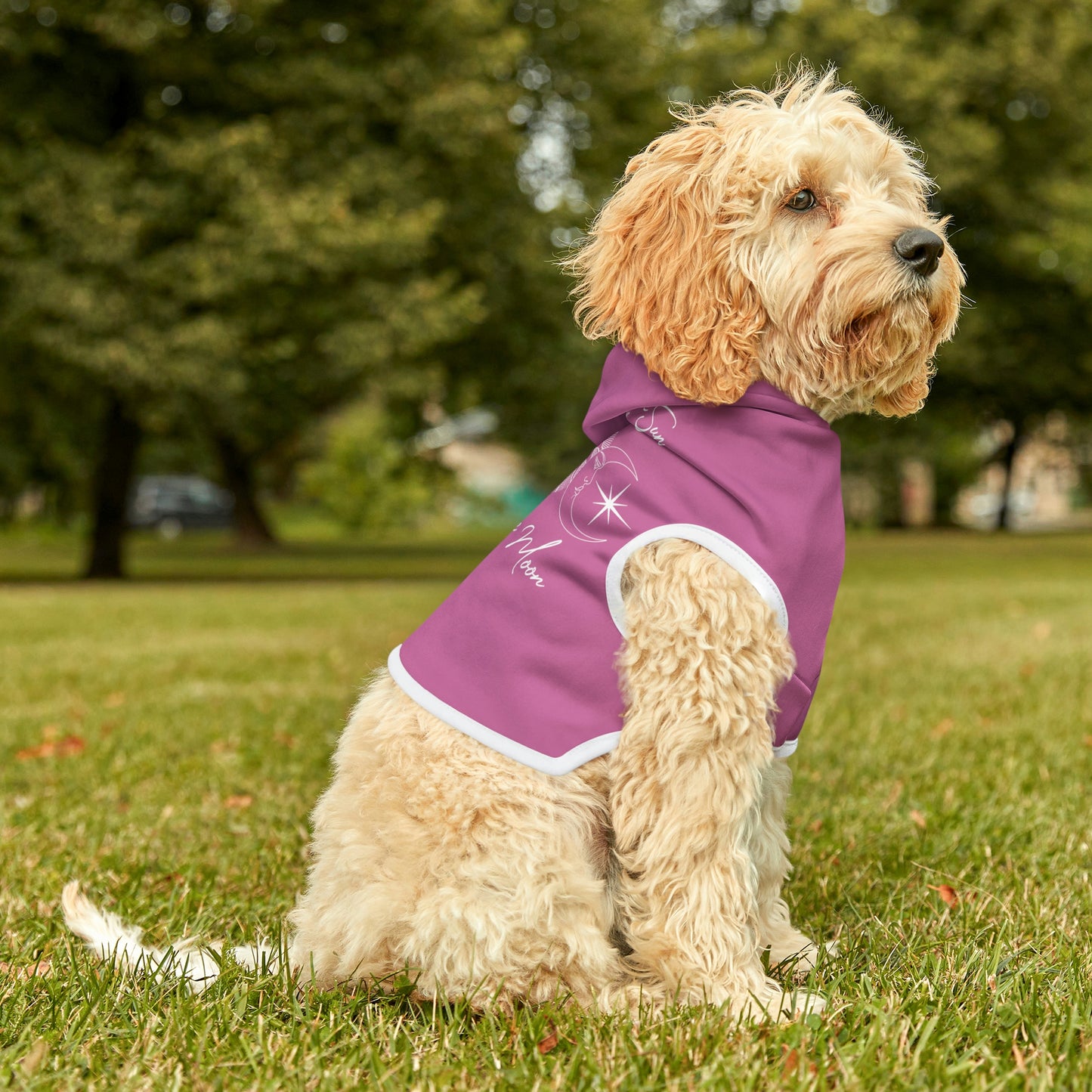 Sun and Moon Pink Dog Hoodie