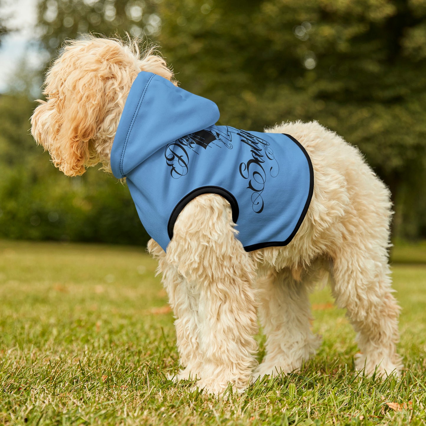 Don't Be Salty Blue Dog Hoodie