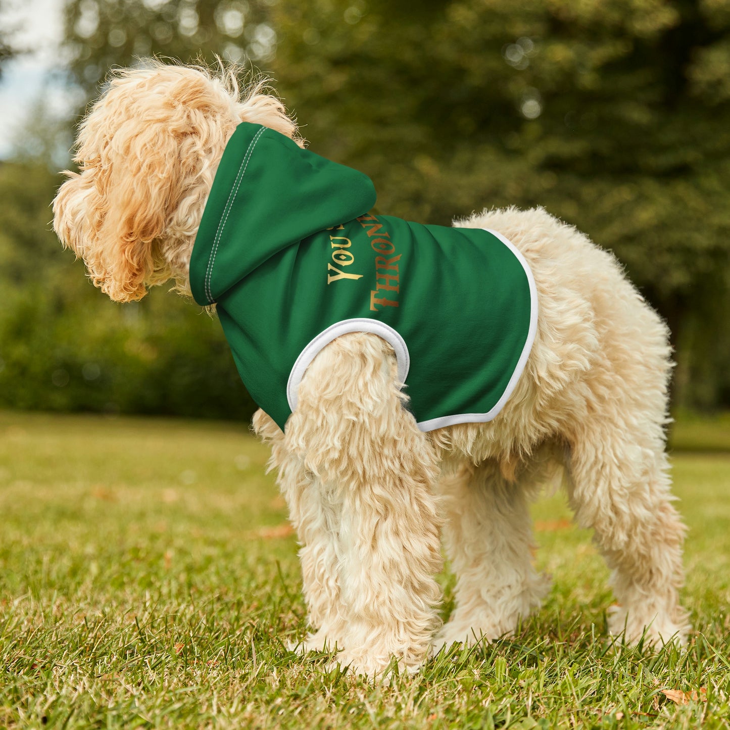 You Sit On A Throne Of Lies Dark Green Dog Hoodie