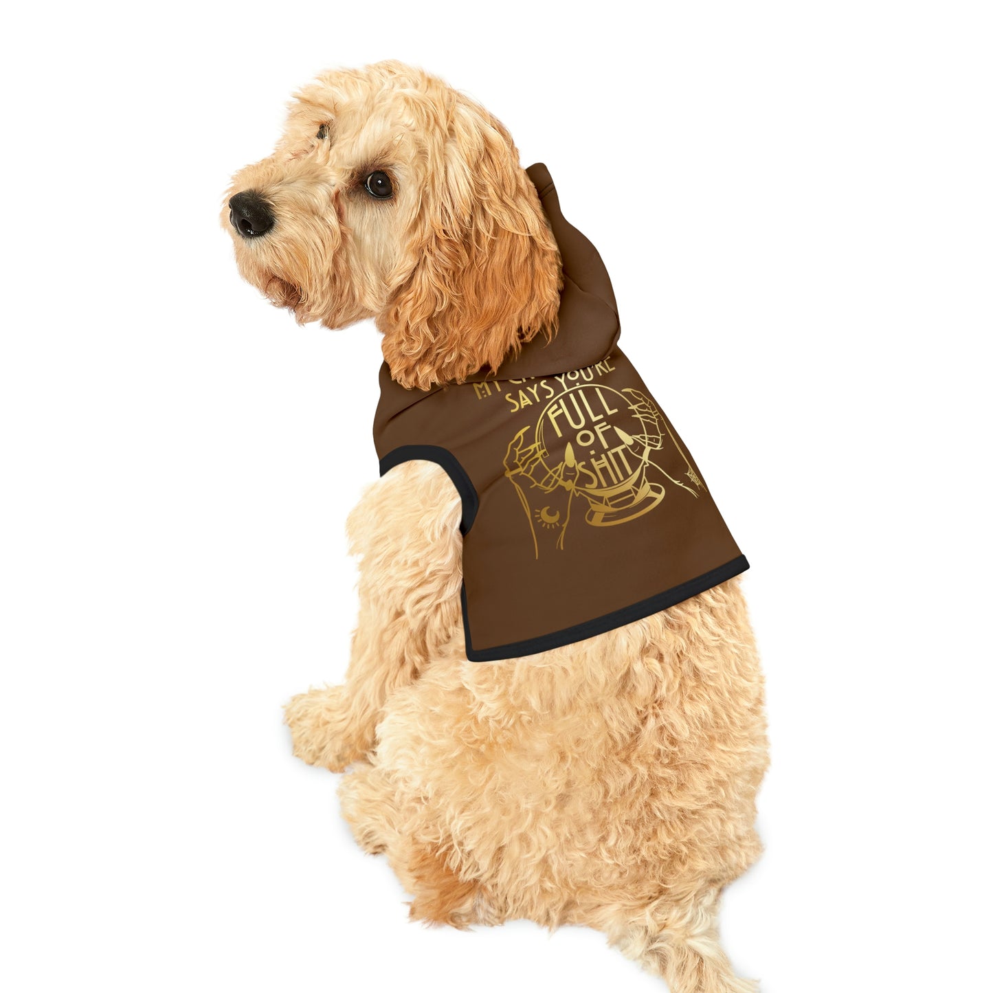 My Crystal Ball Dk Brown Dog Hoodie