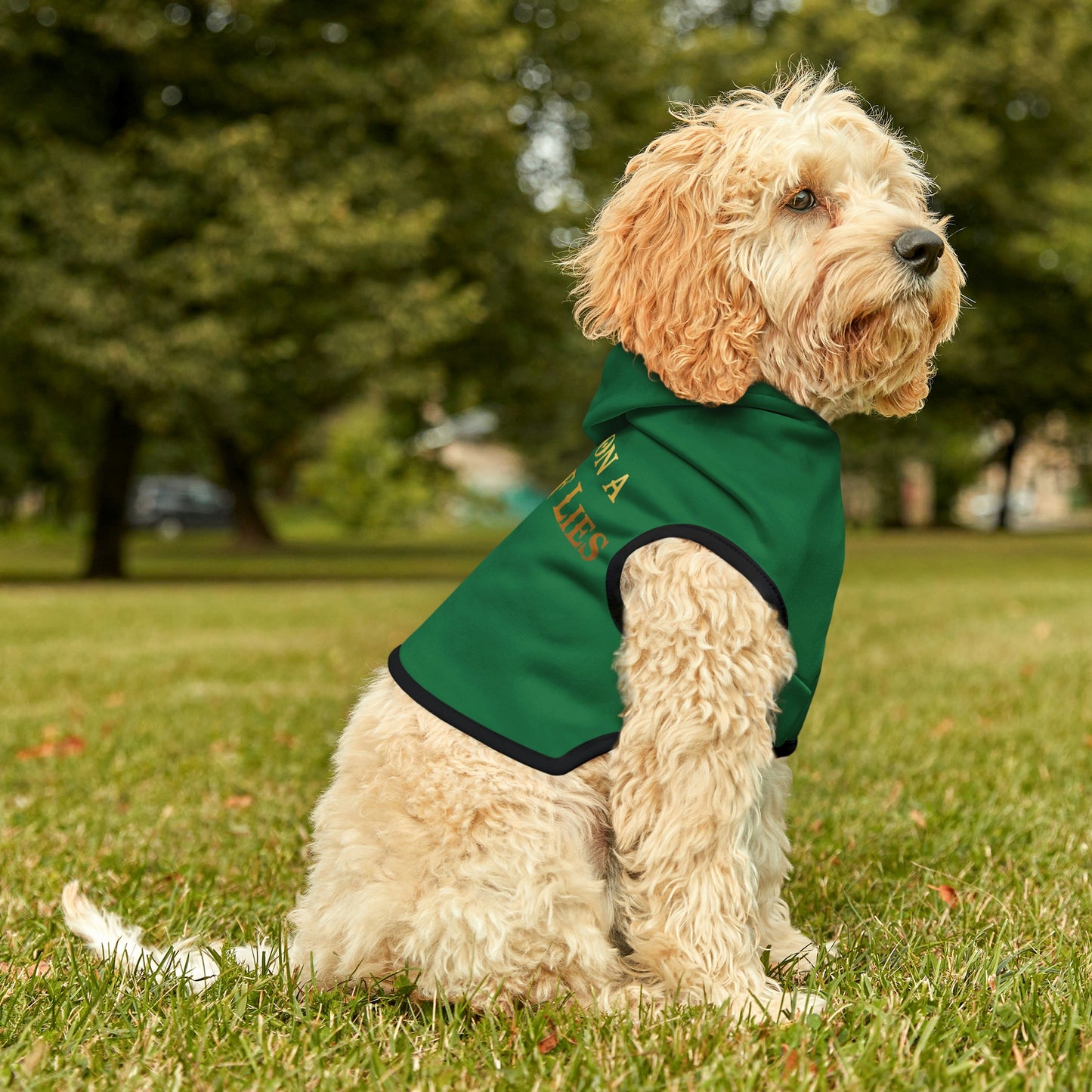 You Sit On A Throne Of Lies Dark Green Dog Hoodie