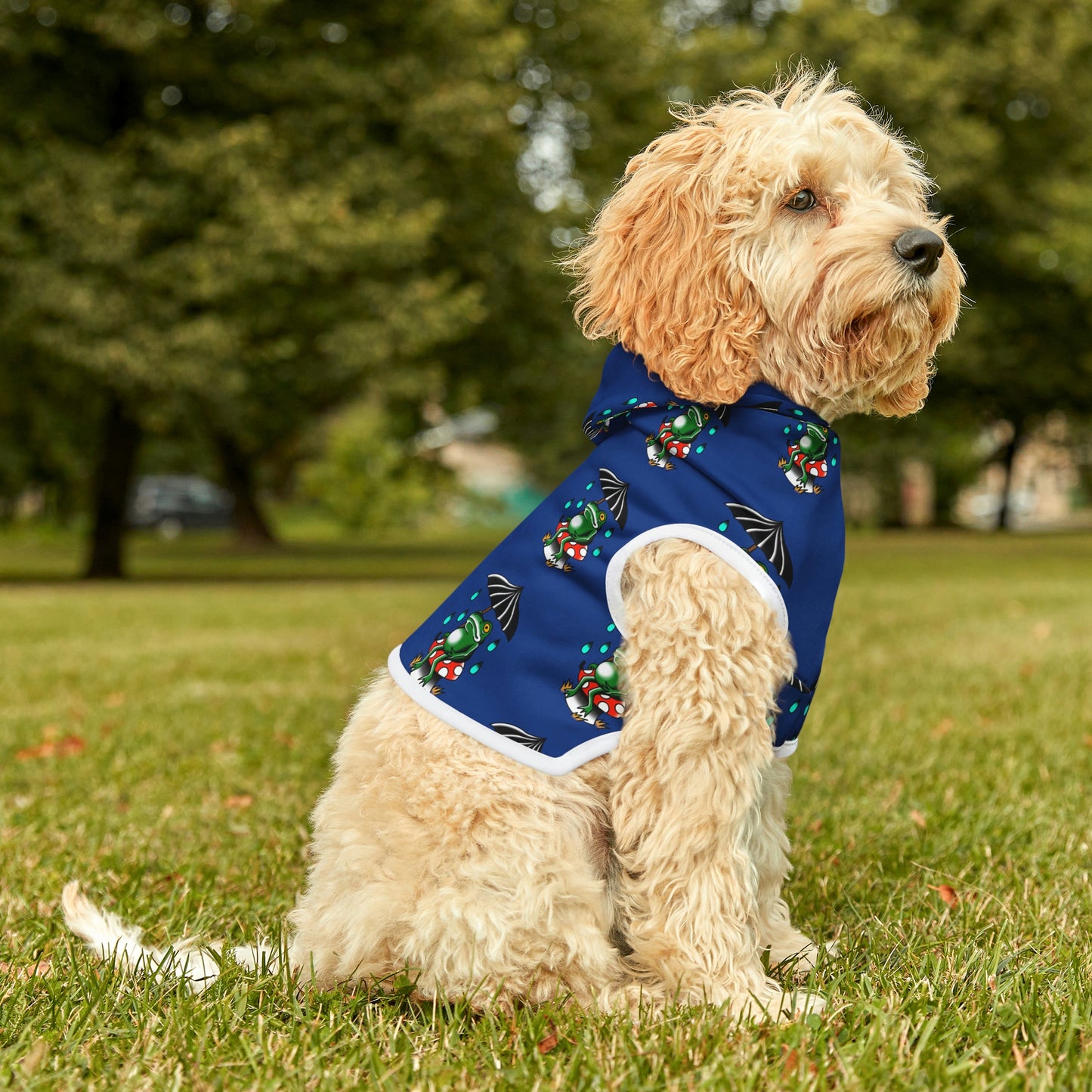 Rainy Day Frog Dk Blue Dog Hoodie