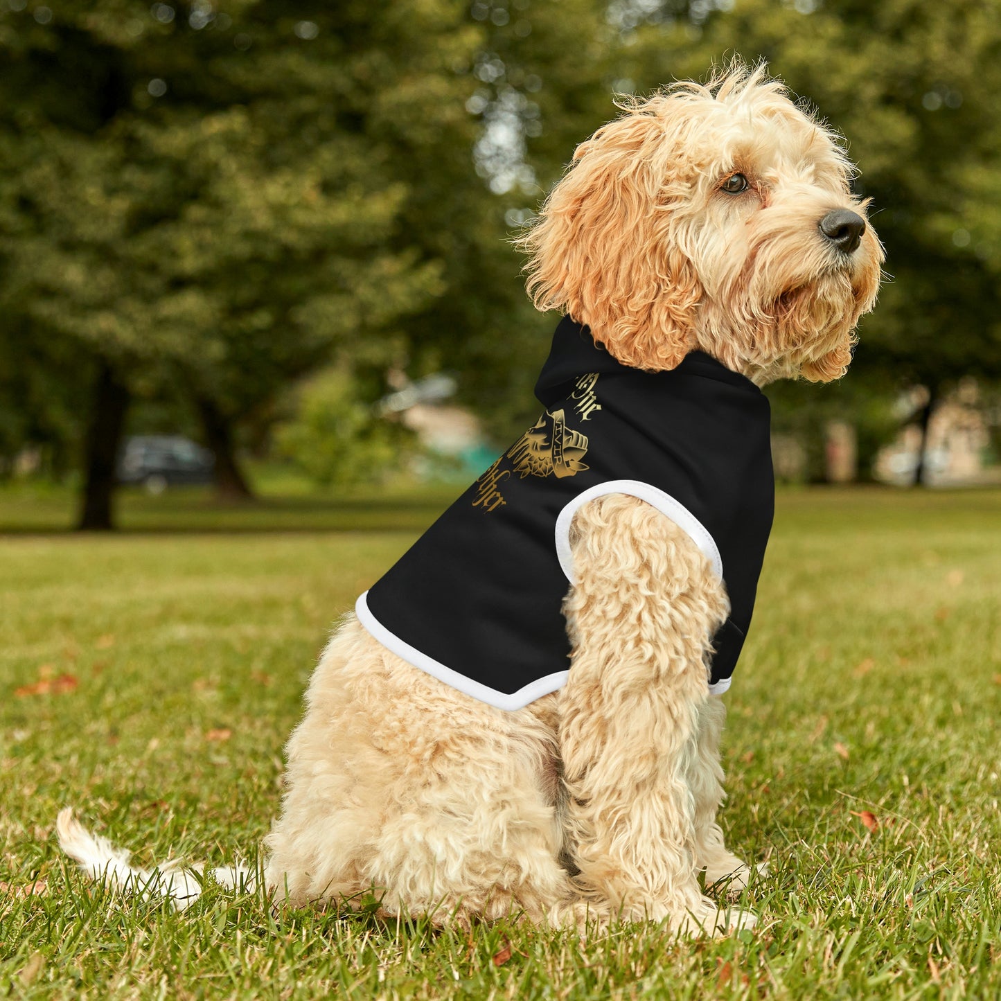 Without One There is Not the Other Black and Gold Dog Hoodie