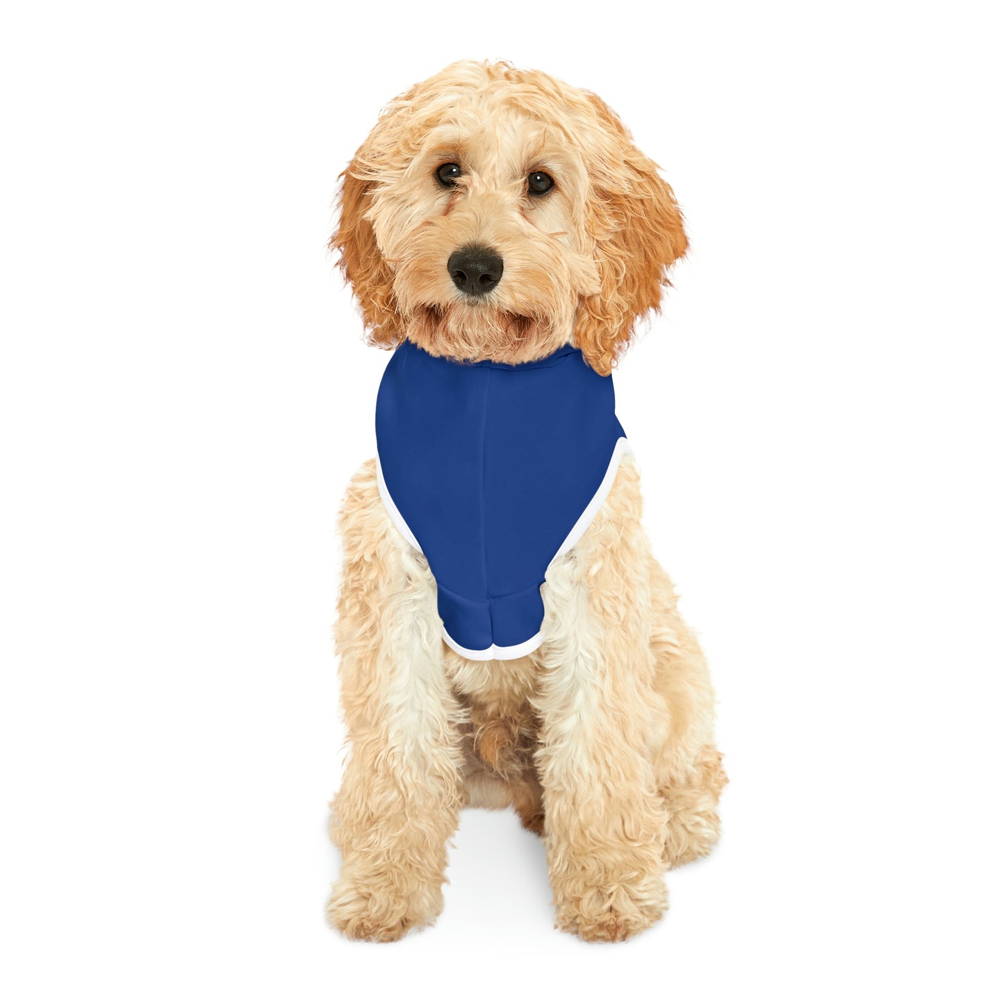 Sun and Moon Dark Blue Dog Hoodie