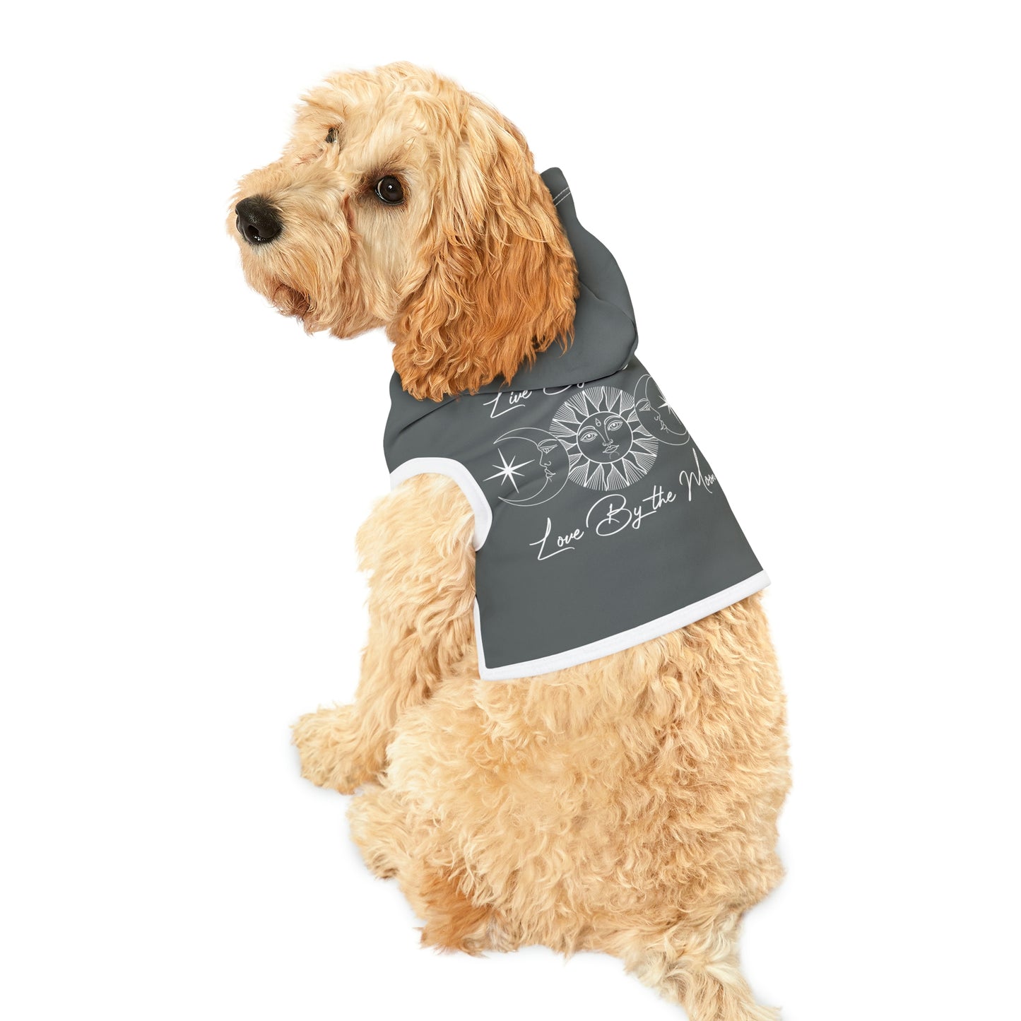 Live By the Sun Dk Grey Dog Hoodie