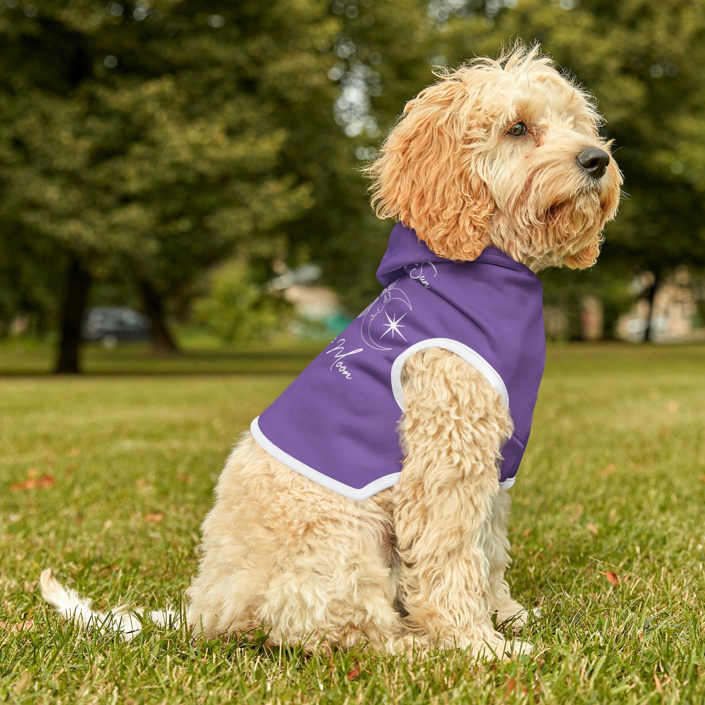 Sun and Moon Light Purple Dog Hoodie