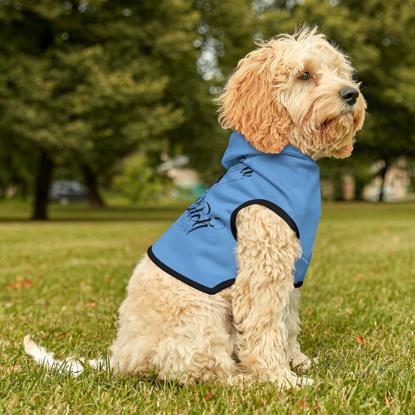 Don't Be Salty Blue Dog Hoodie