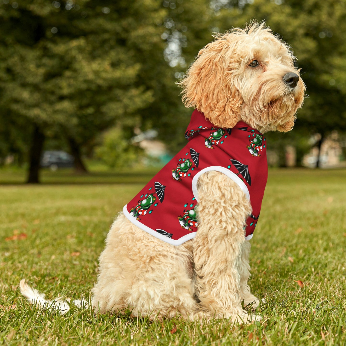 Rainy Day Frog Red Dog Hoodie