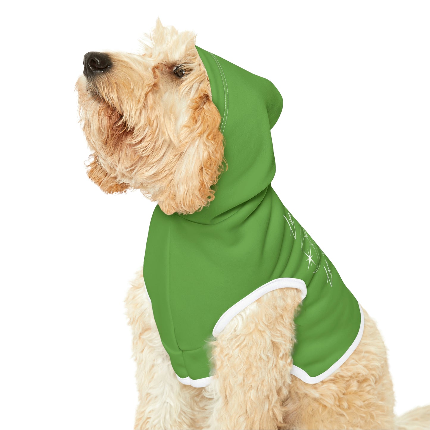 Live By the Sun Lt Green Dog Hoodie