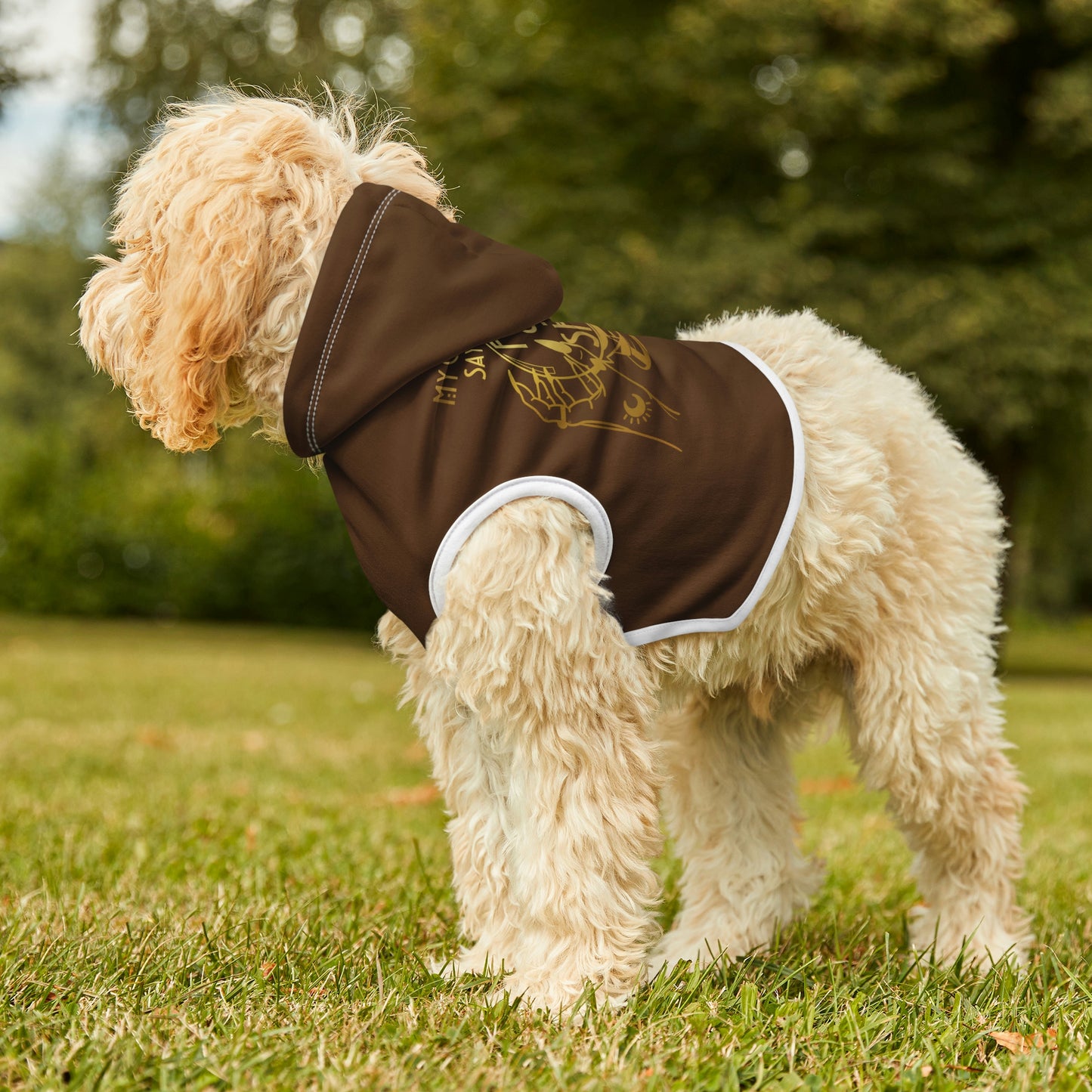 My Crystal Ball Dk Brown Dog Hoodie