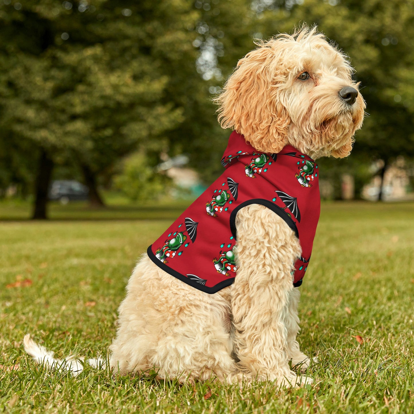 Rainy Day Frog Red Dog Hoodie