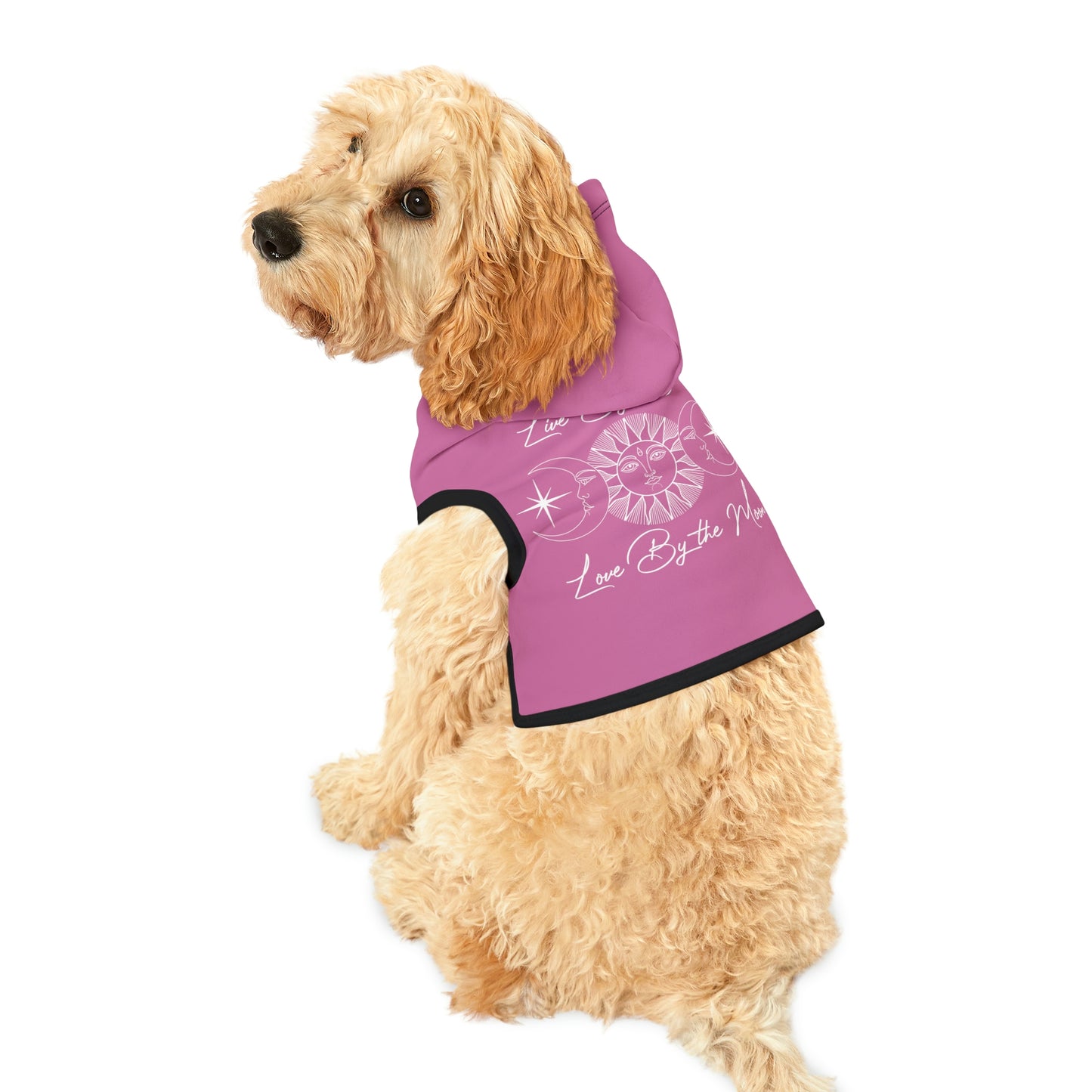 Sun and Moon Pink Dog Hoodie