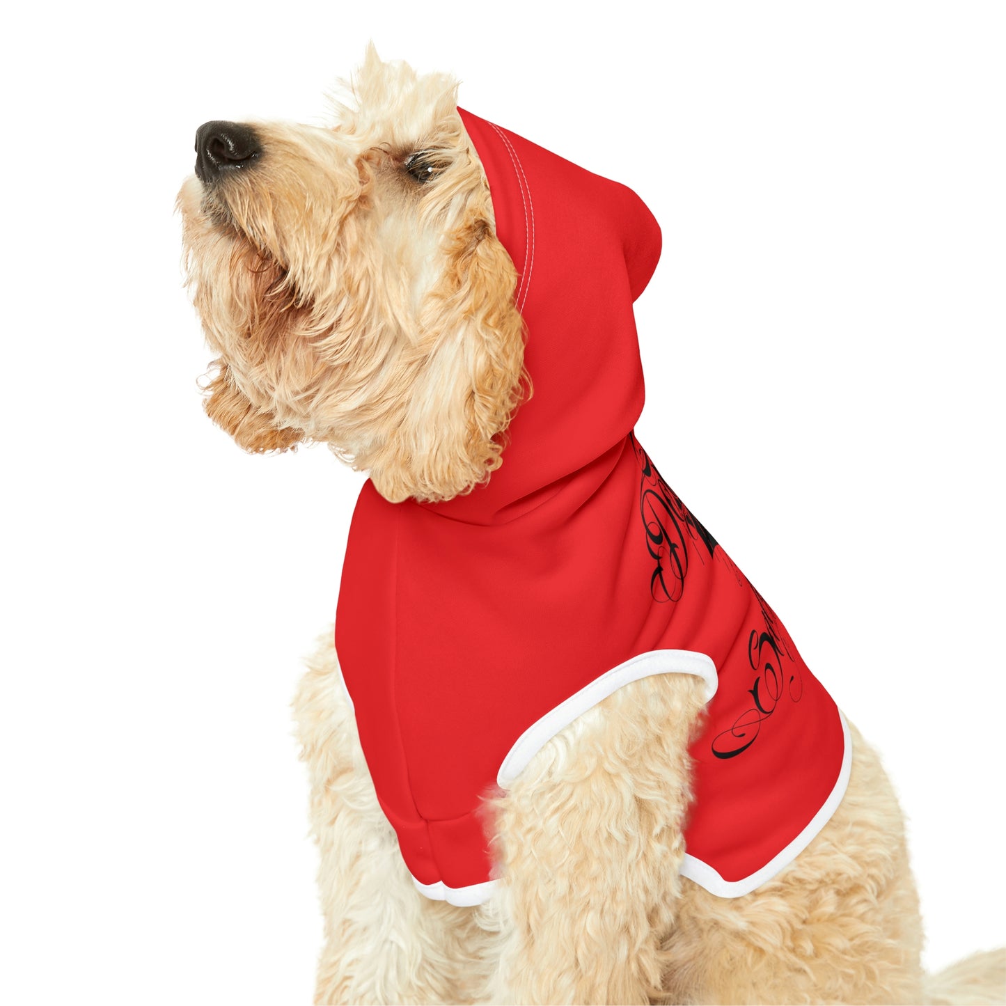 Don't Be Salty Red Dog Hoodie