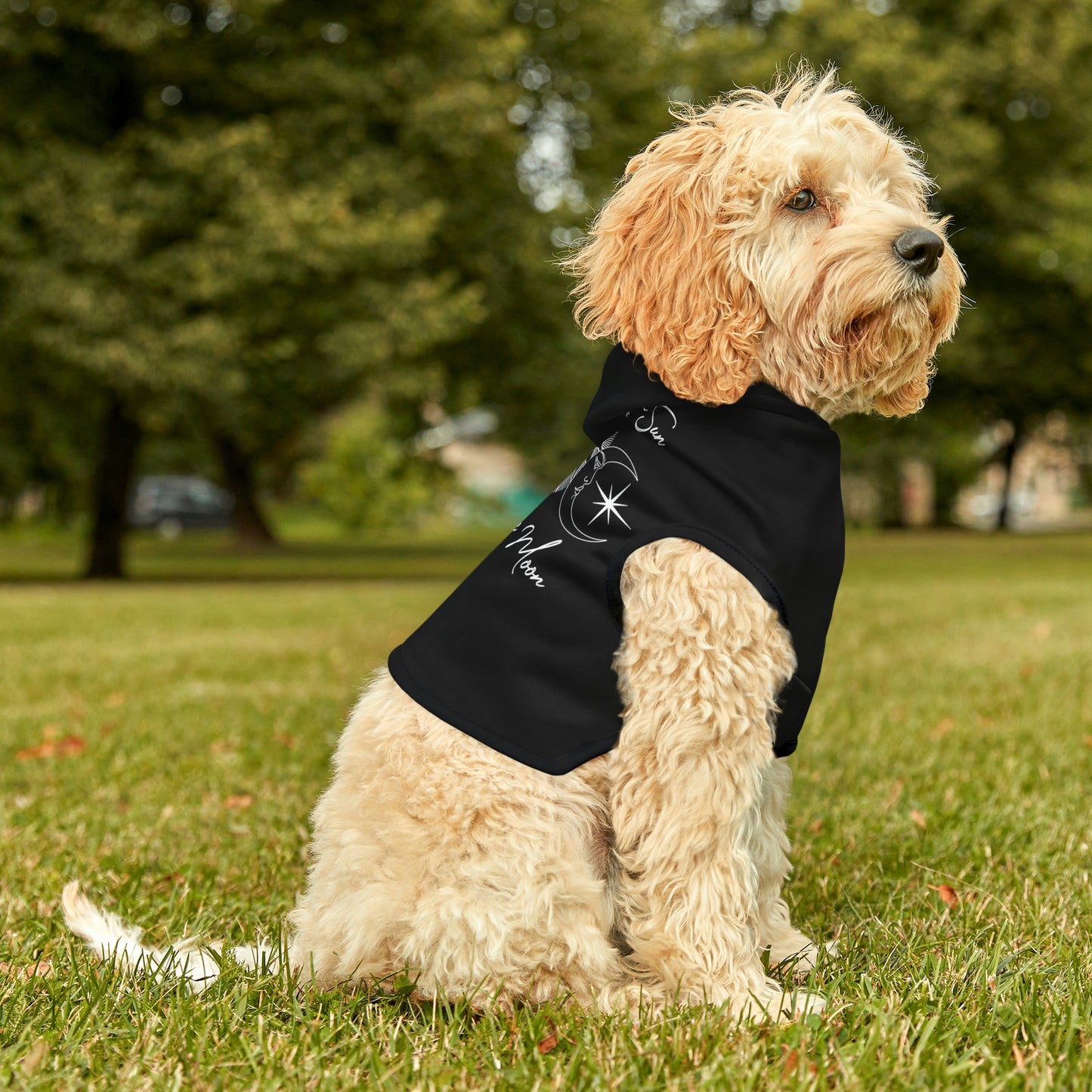 Live By the Sun Black Dog Hoodie