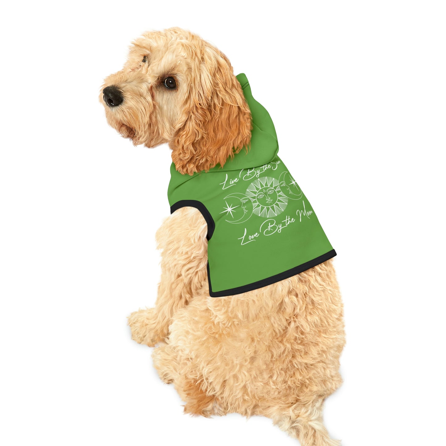 Live By the Sun Lt Green Dog Hoodie