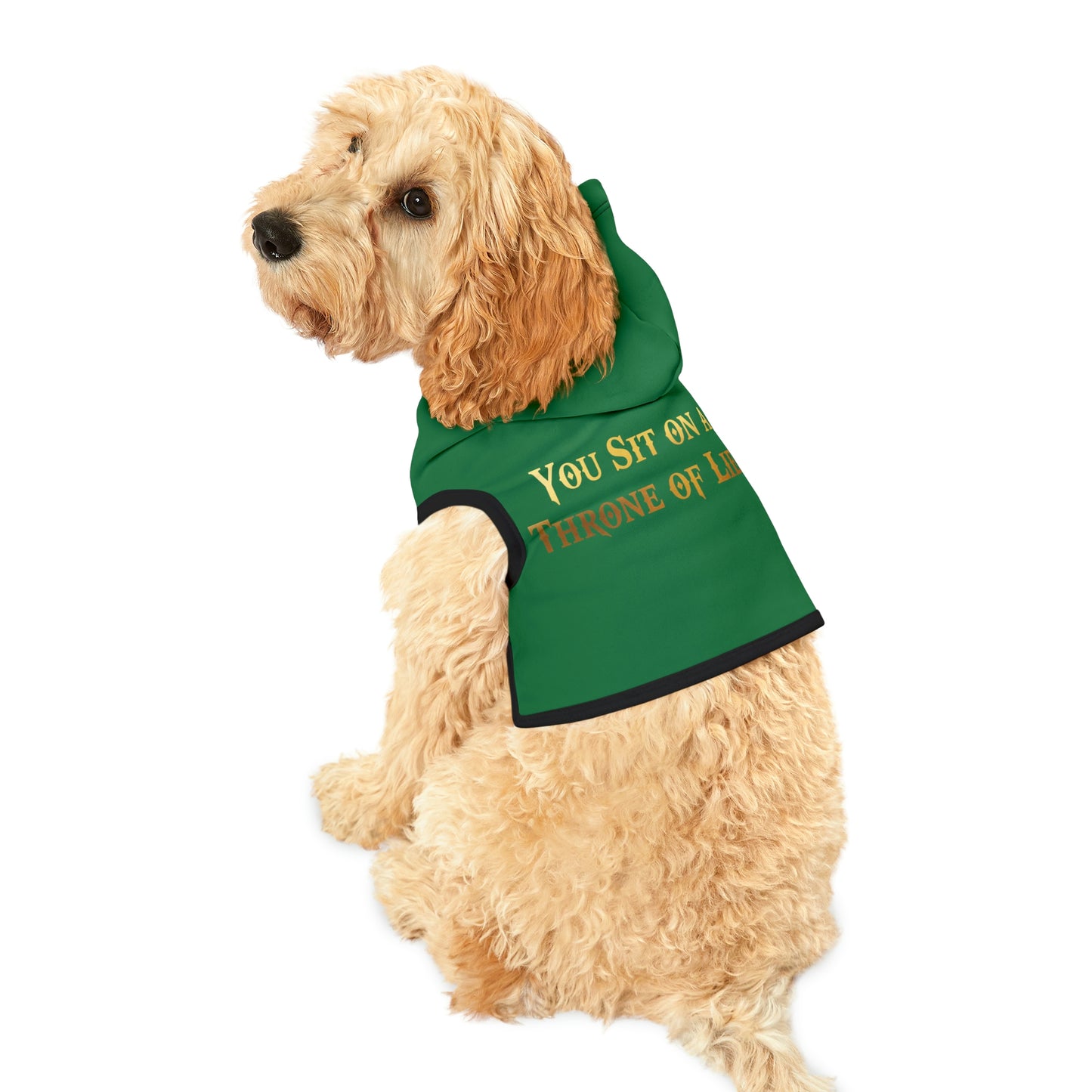 You Sit On A Throne Of Lies Dark Green Dog Hoodie