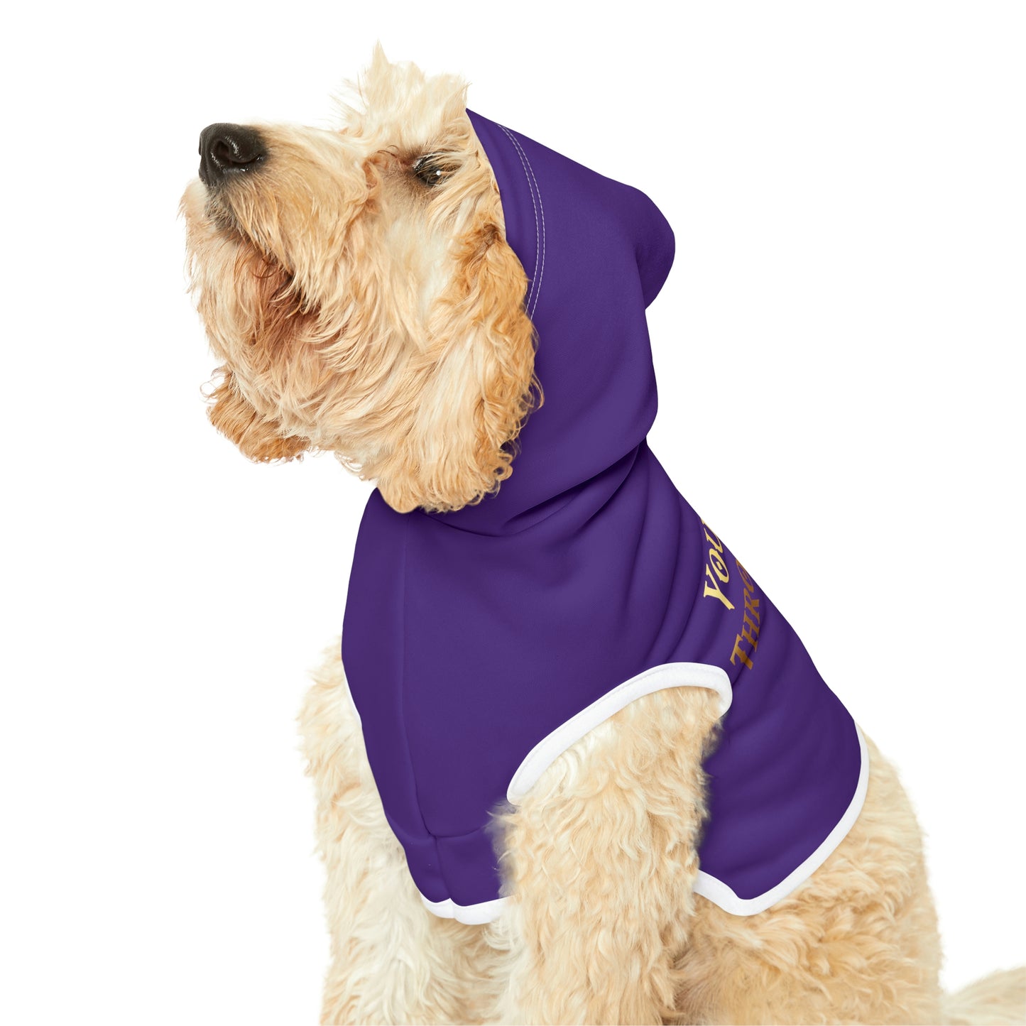 You Sit On A Throne Of Lies Dark Purple Dog Hoodie