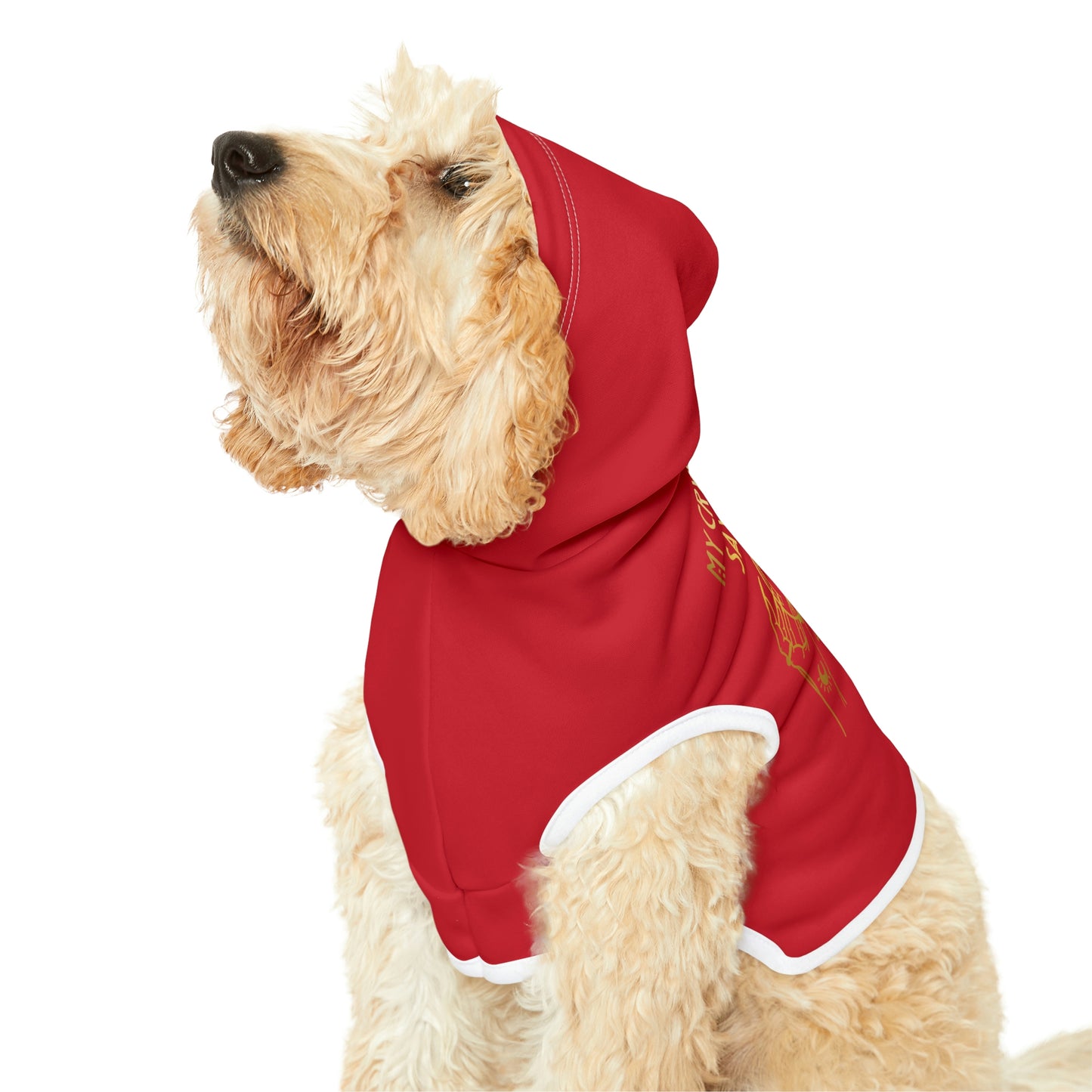 My Crystal Ball Red Dog Hoodie