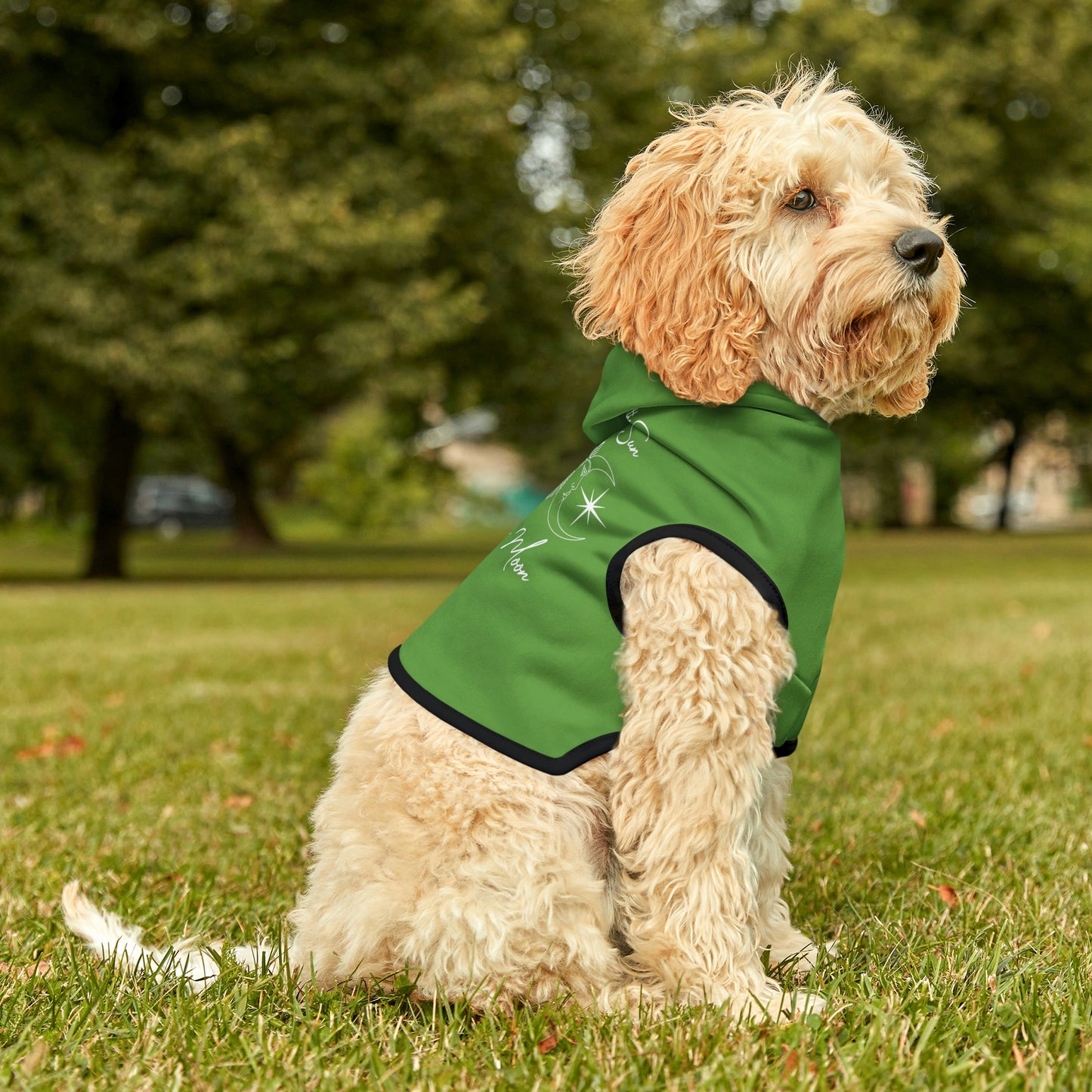 Live By the Sun Lt Green Dog Hoodie