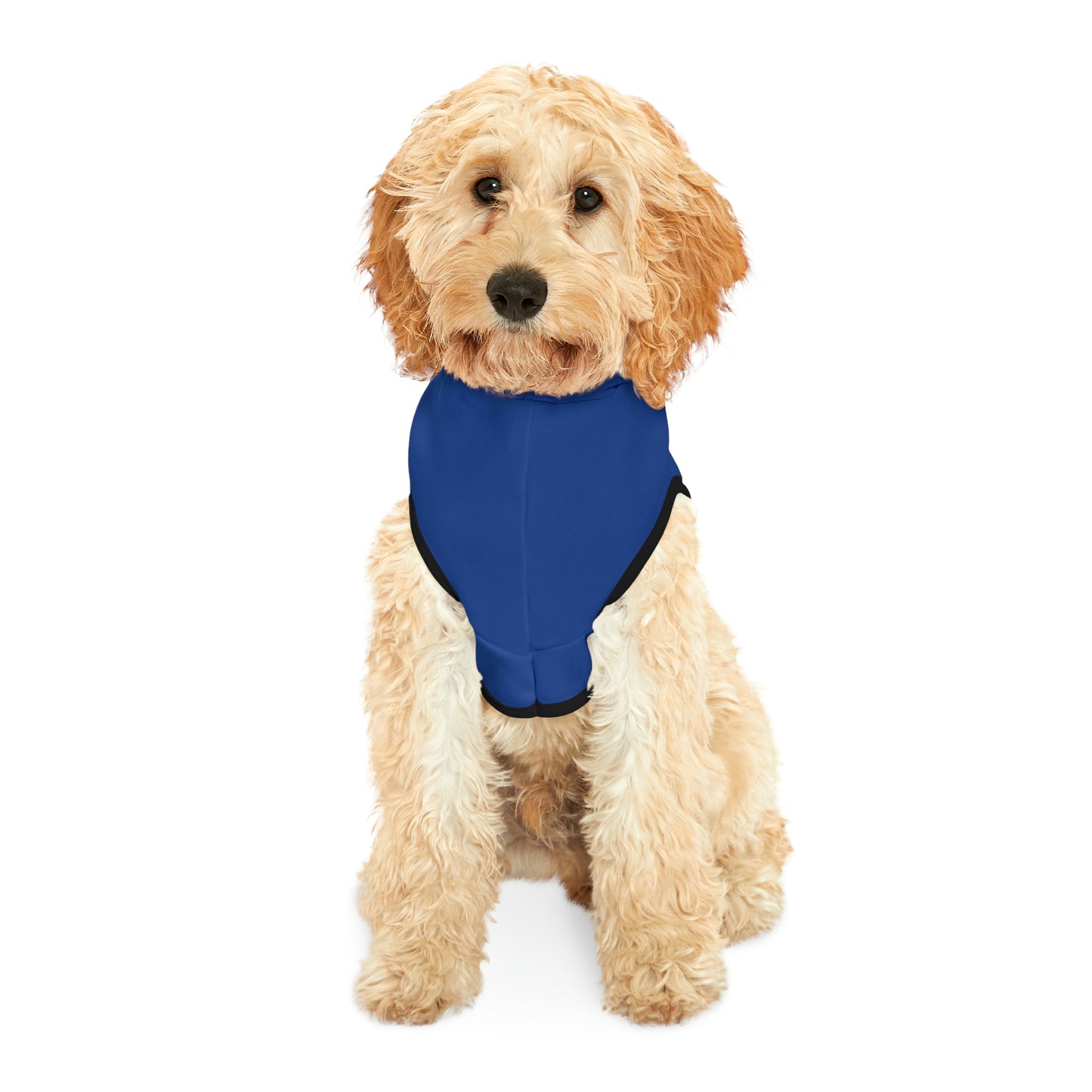 Sun and Moon Dark Blue Dog Hoodie