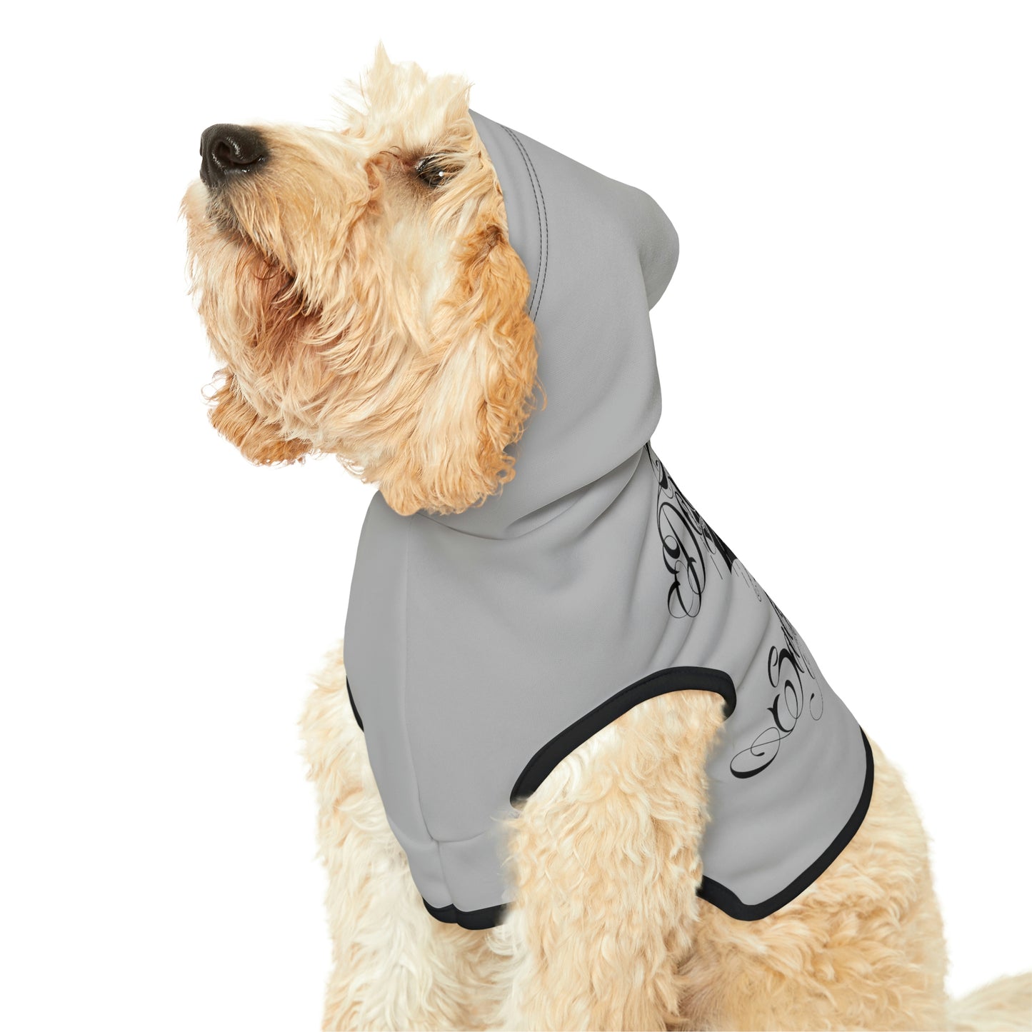 Don't Be Salty Grey Dog Hoodie