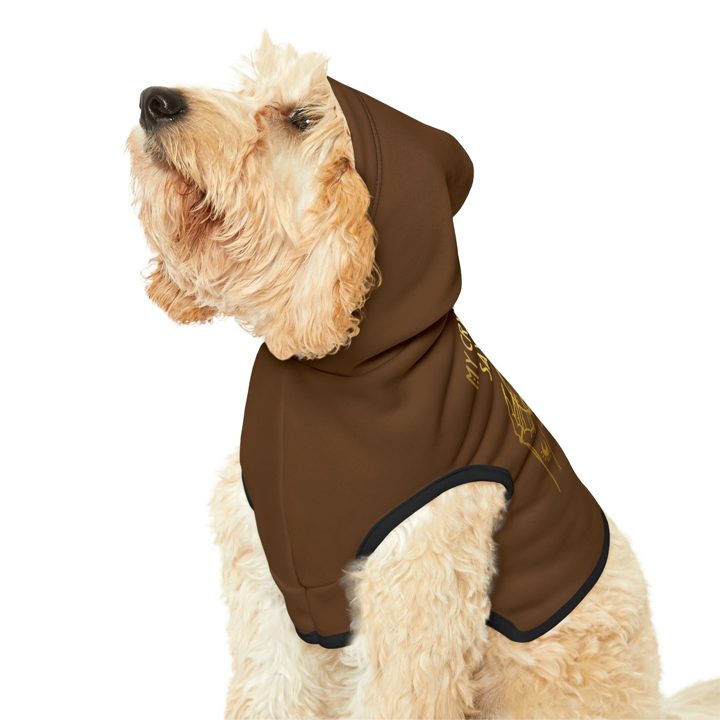 My Crystal Ball Dk Brown Dog Hoodie