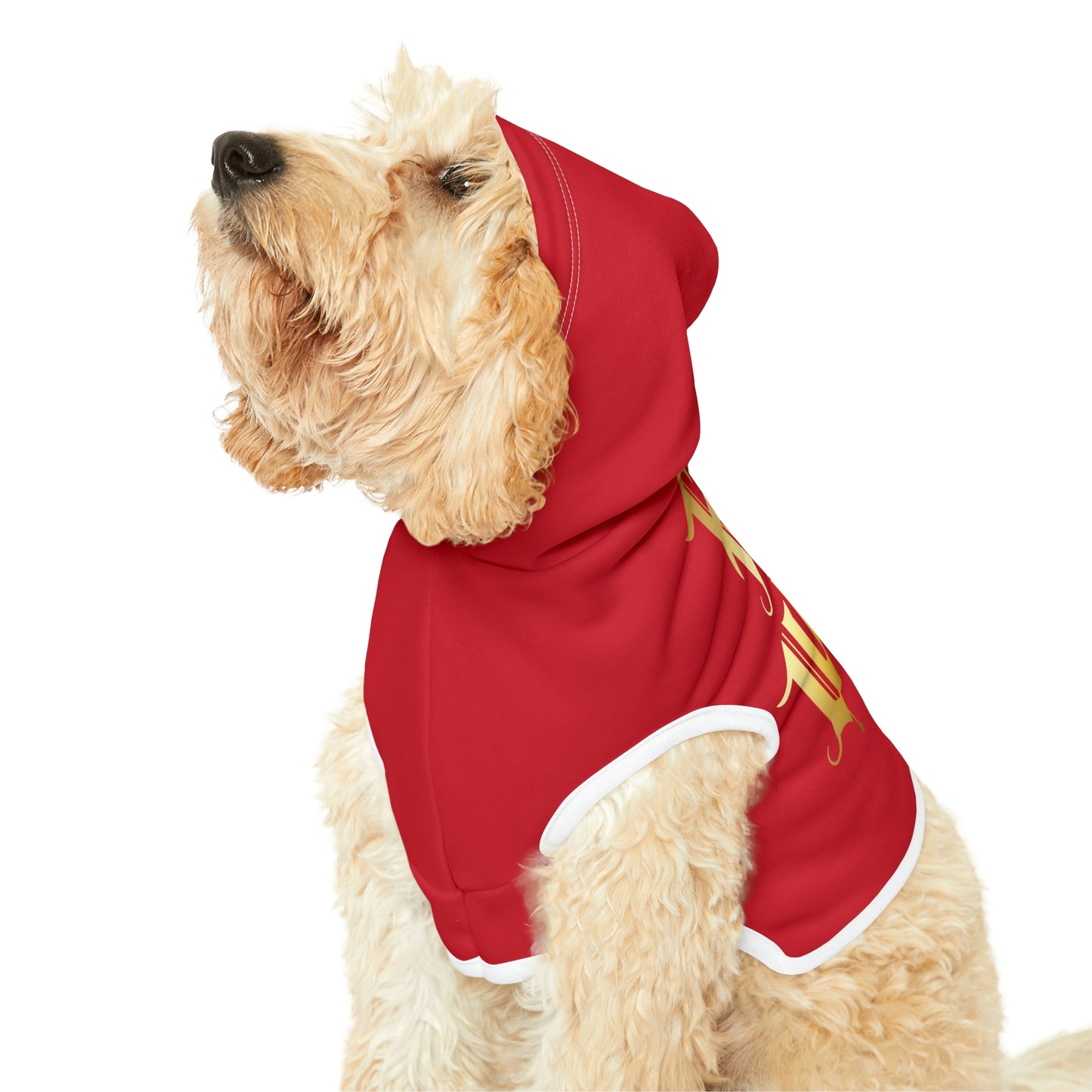 Four of Wands Red Dog Hoodie