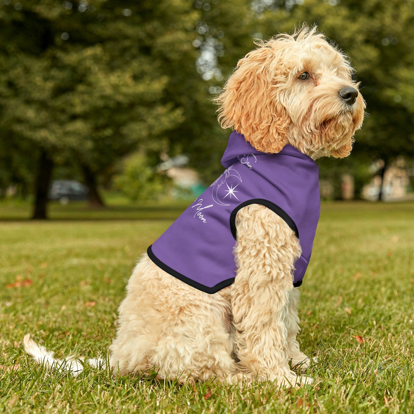 Sun and Moon Light Purple Dog Hoodie