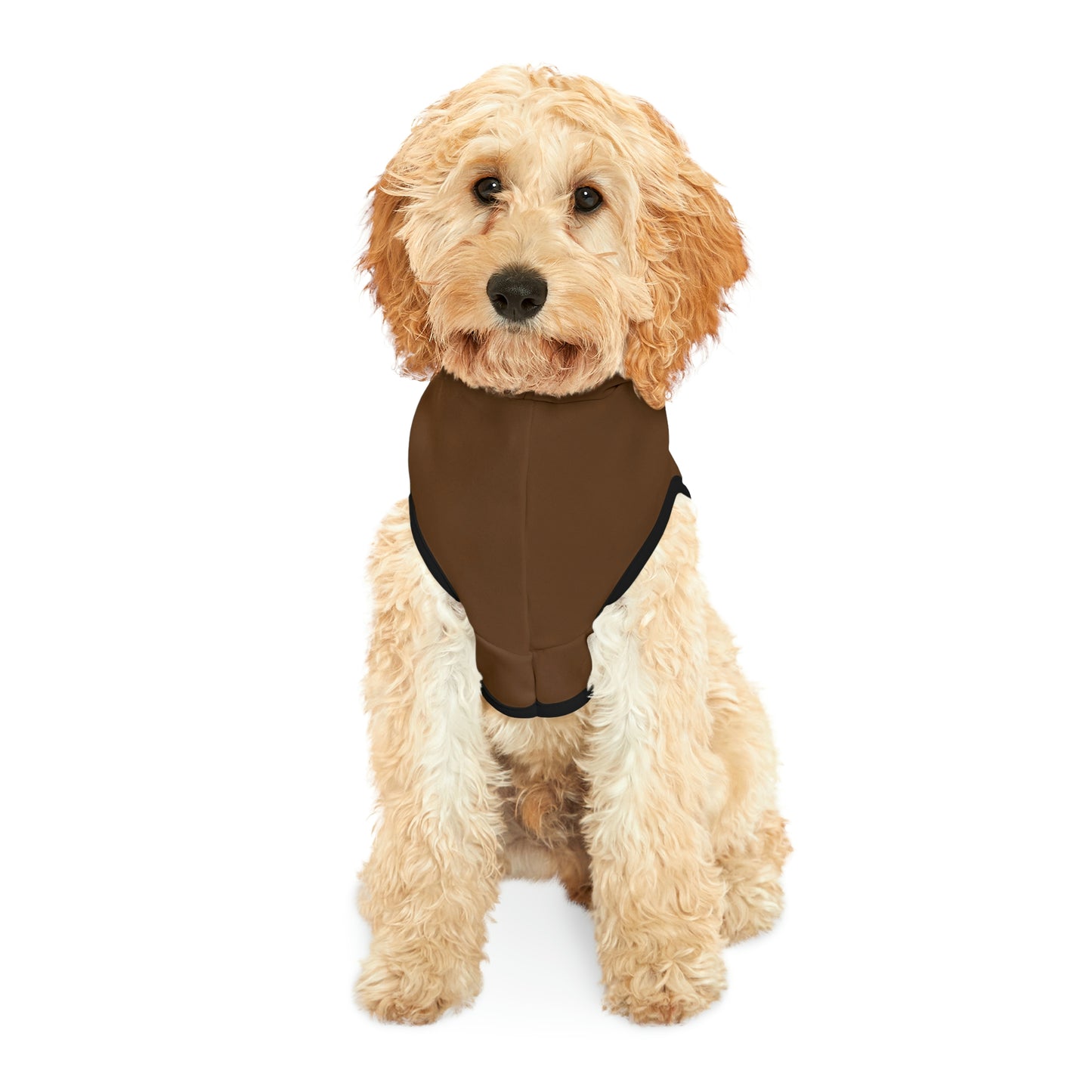 Without One There Is Not The Other Brown Dog Hoodie