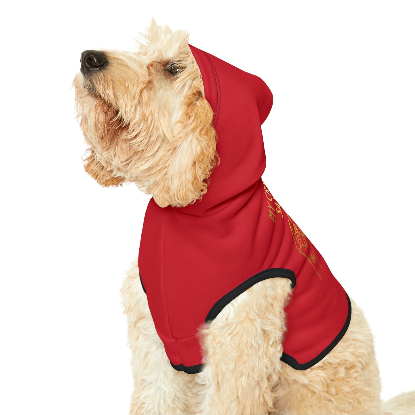 My Crystal Ball Red Dog Hoodie