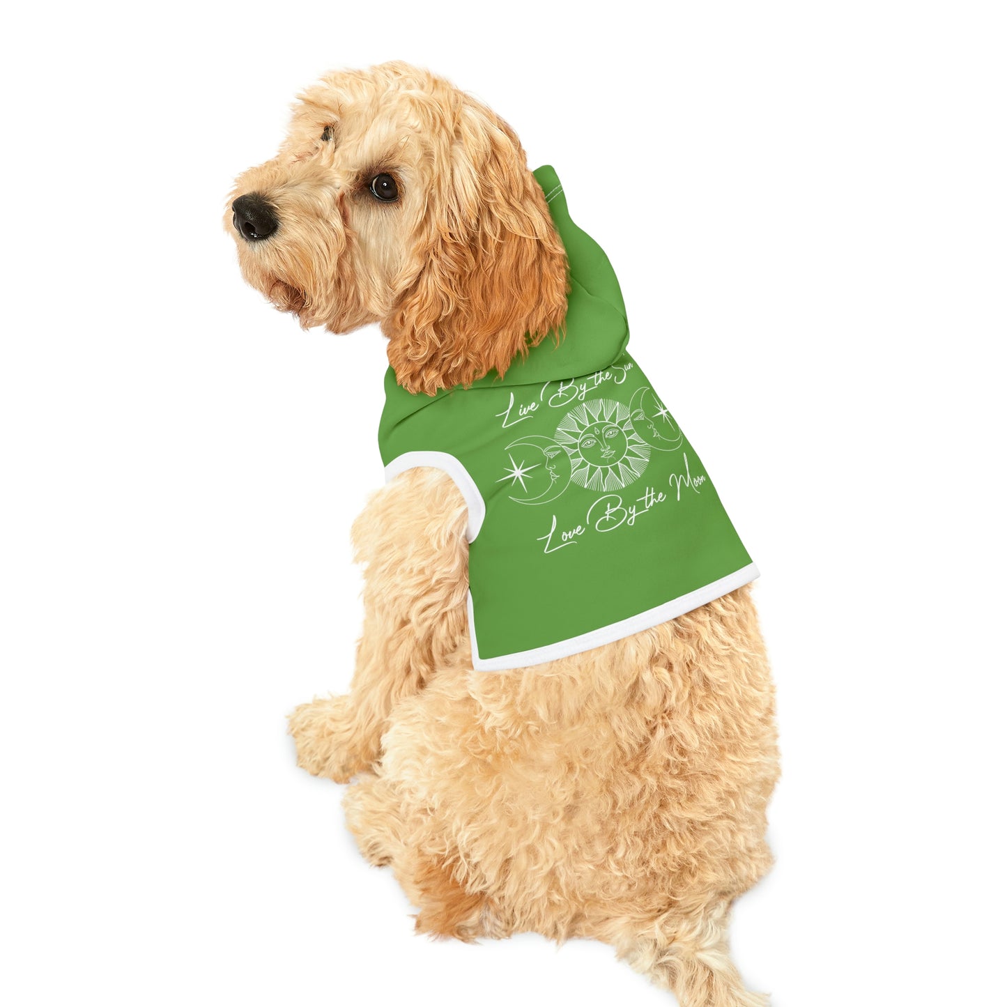 Live By the Sun Lt Green Dog Hoodie