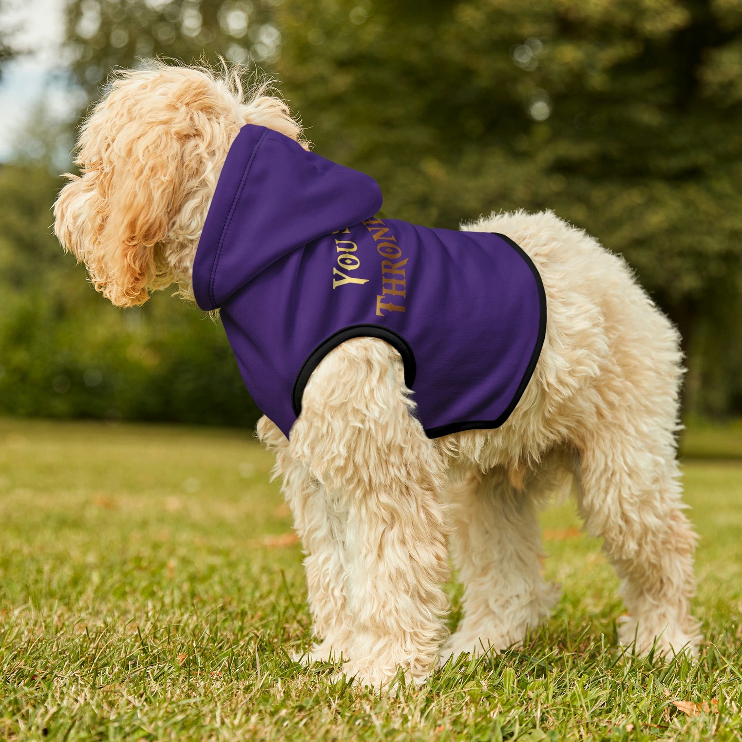 You Sit On A Throne Of Lies Dark Purple Dog Hoodie