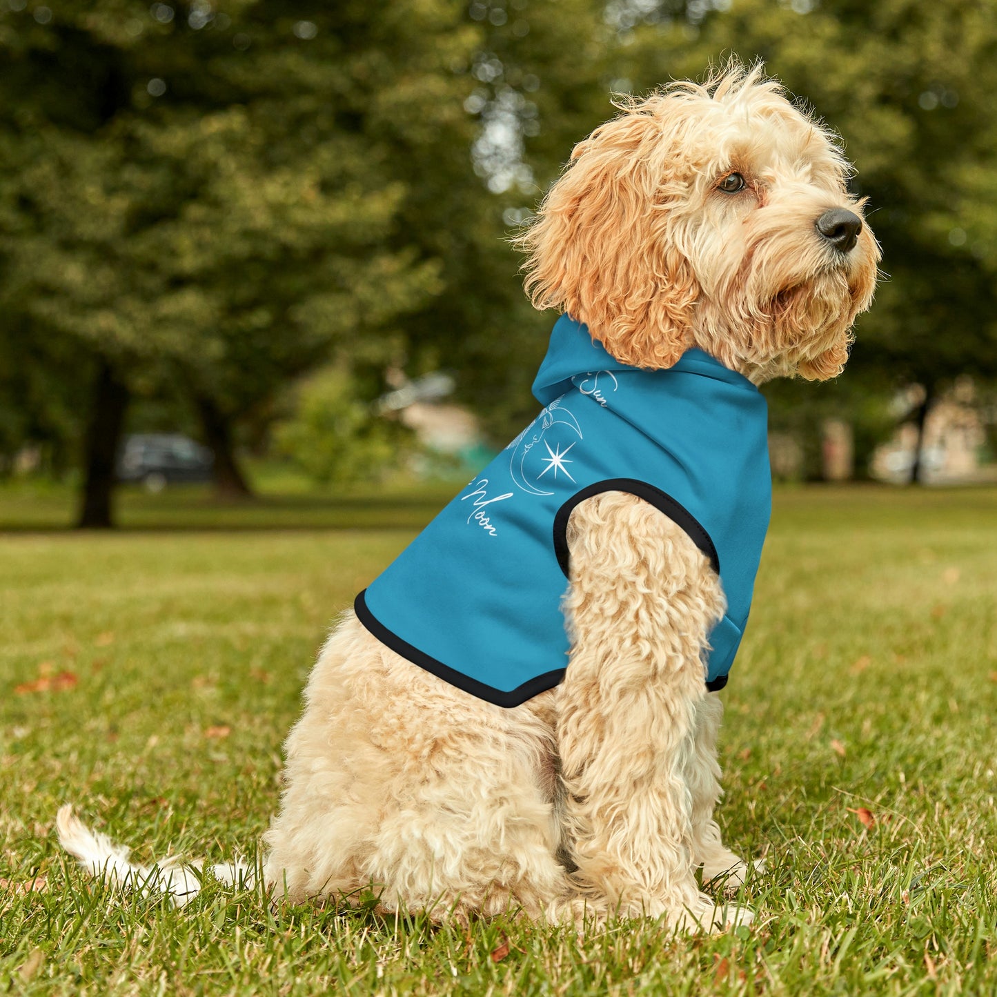 Sun and Moon Light Blue Doggy Hoodie