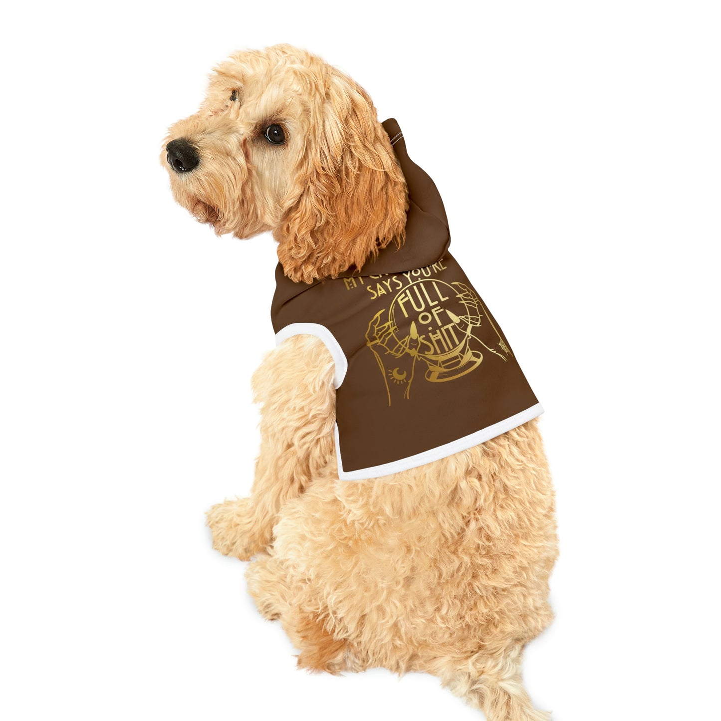 My Crystal Ball Dk Brown Dog Hoodie