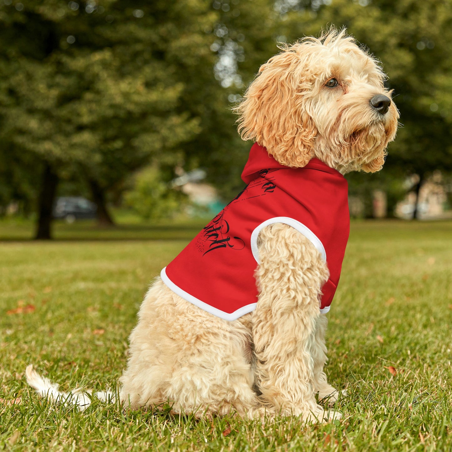 Don't Be Salty Red Dog Hoodie