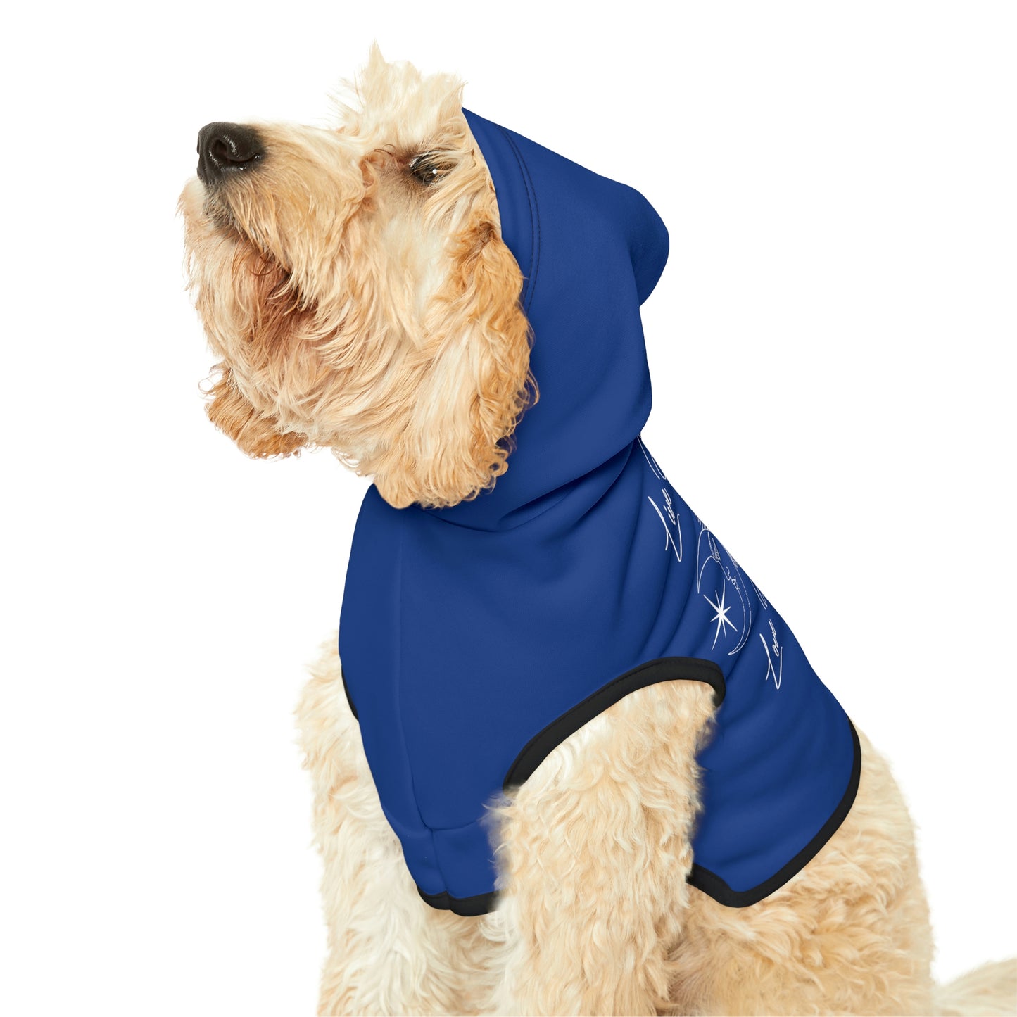 Sun and Moon Dark Blue Dog Hoodie