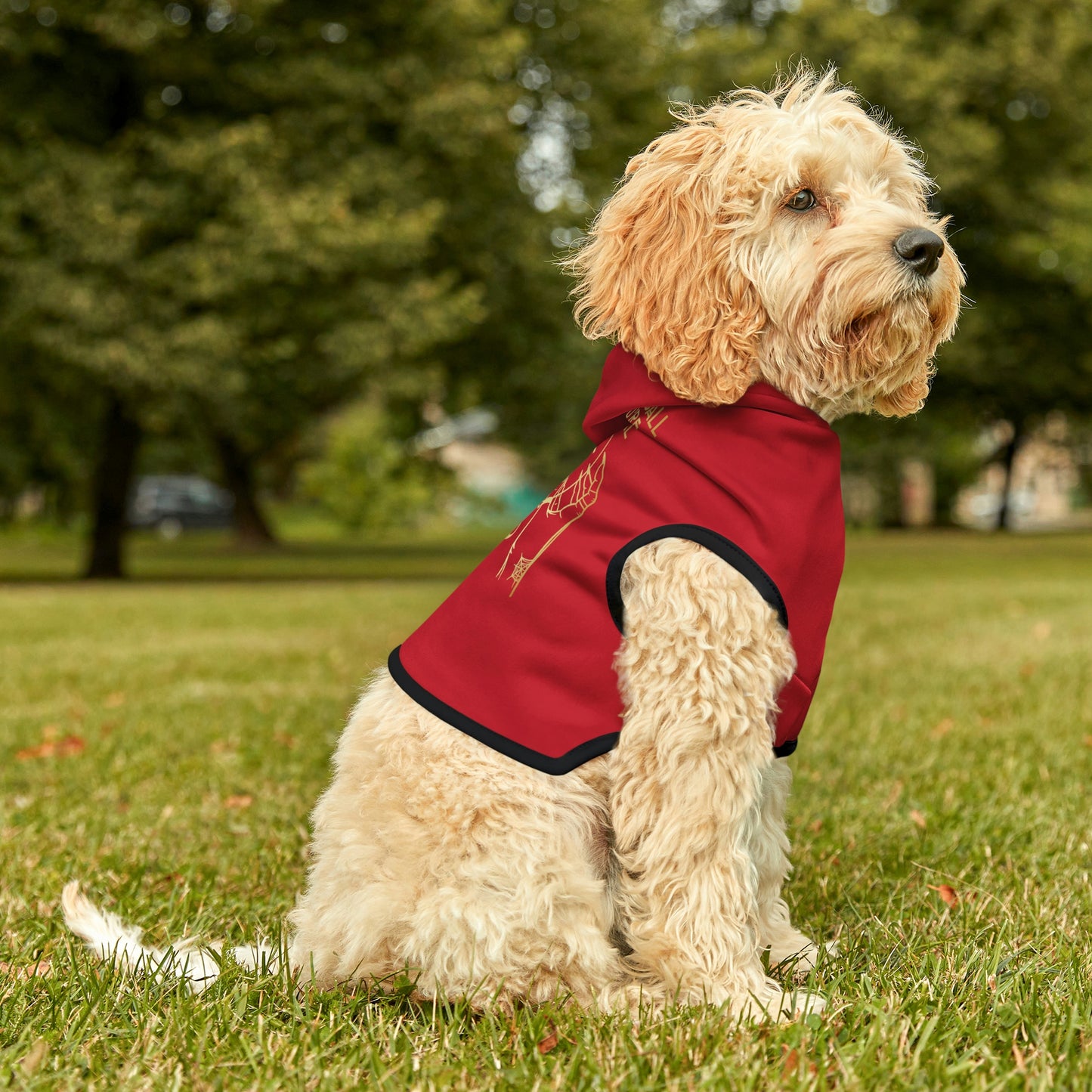 My Crystal Ball Red Dog Hoodie