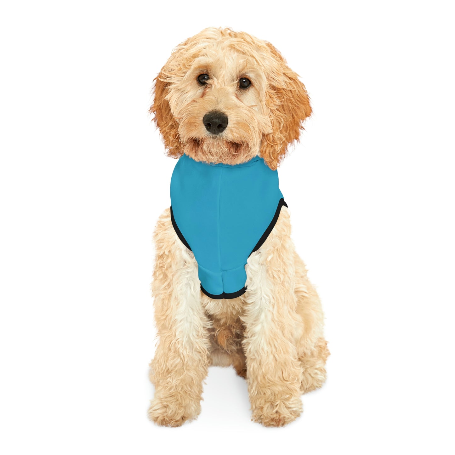 Sun and Moon Light Blue Doggy Hoodie