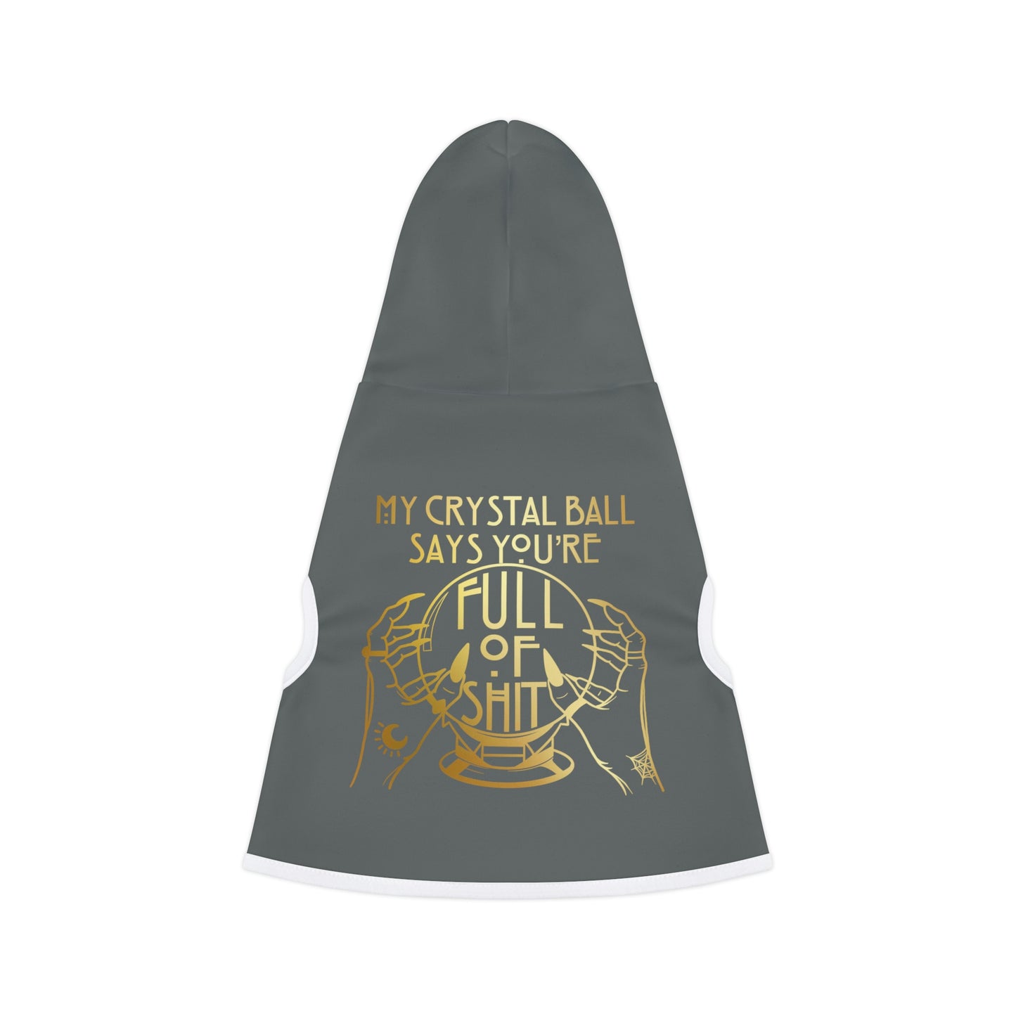 My Crystal Ball Dk Grey Dog Hoodie