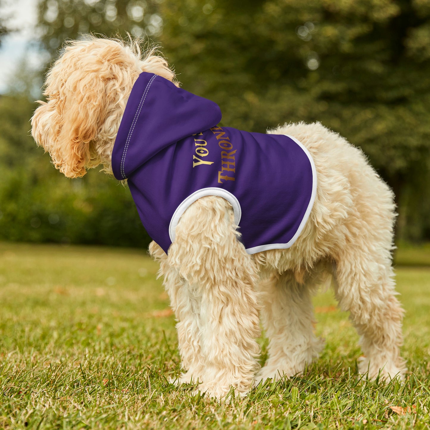 You Sit On A Throne Of Lies Dark Purple Dog Hoodie