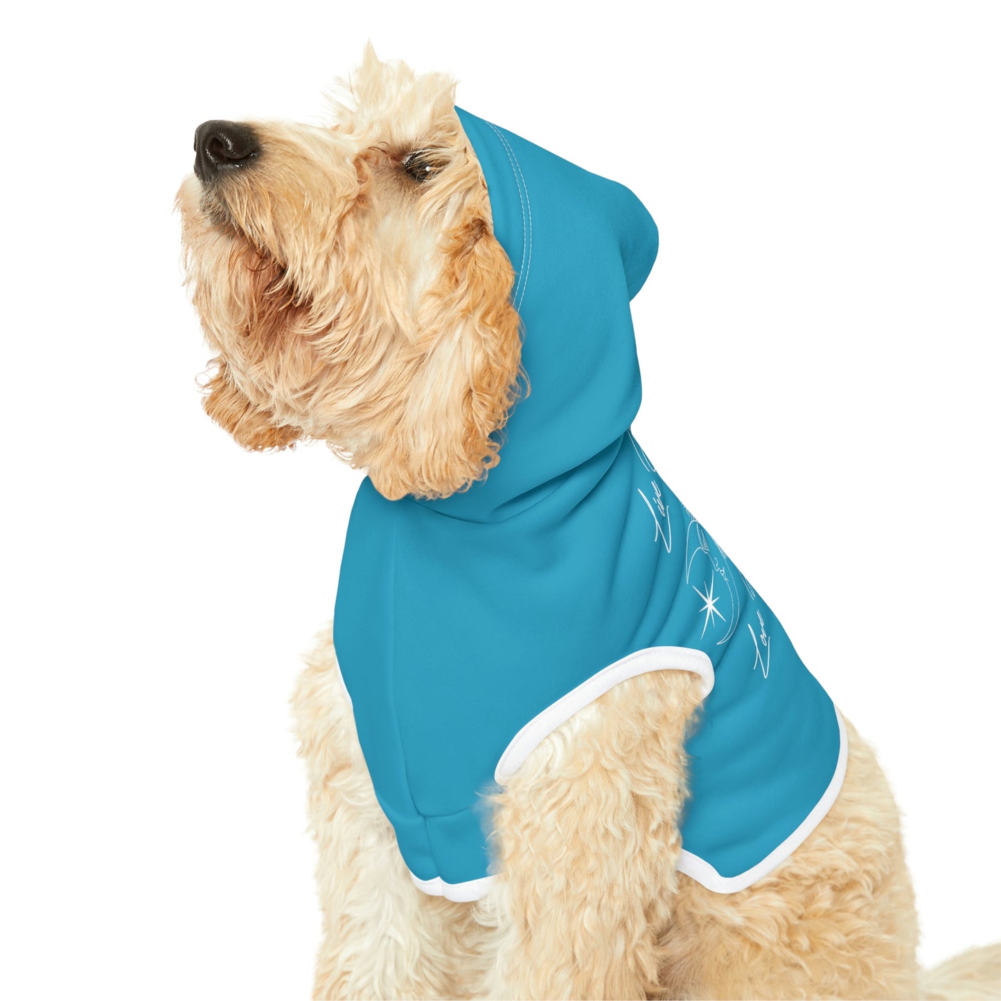 Sun and Moon Light Blue Doggy Hoodie