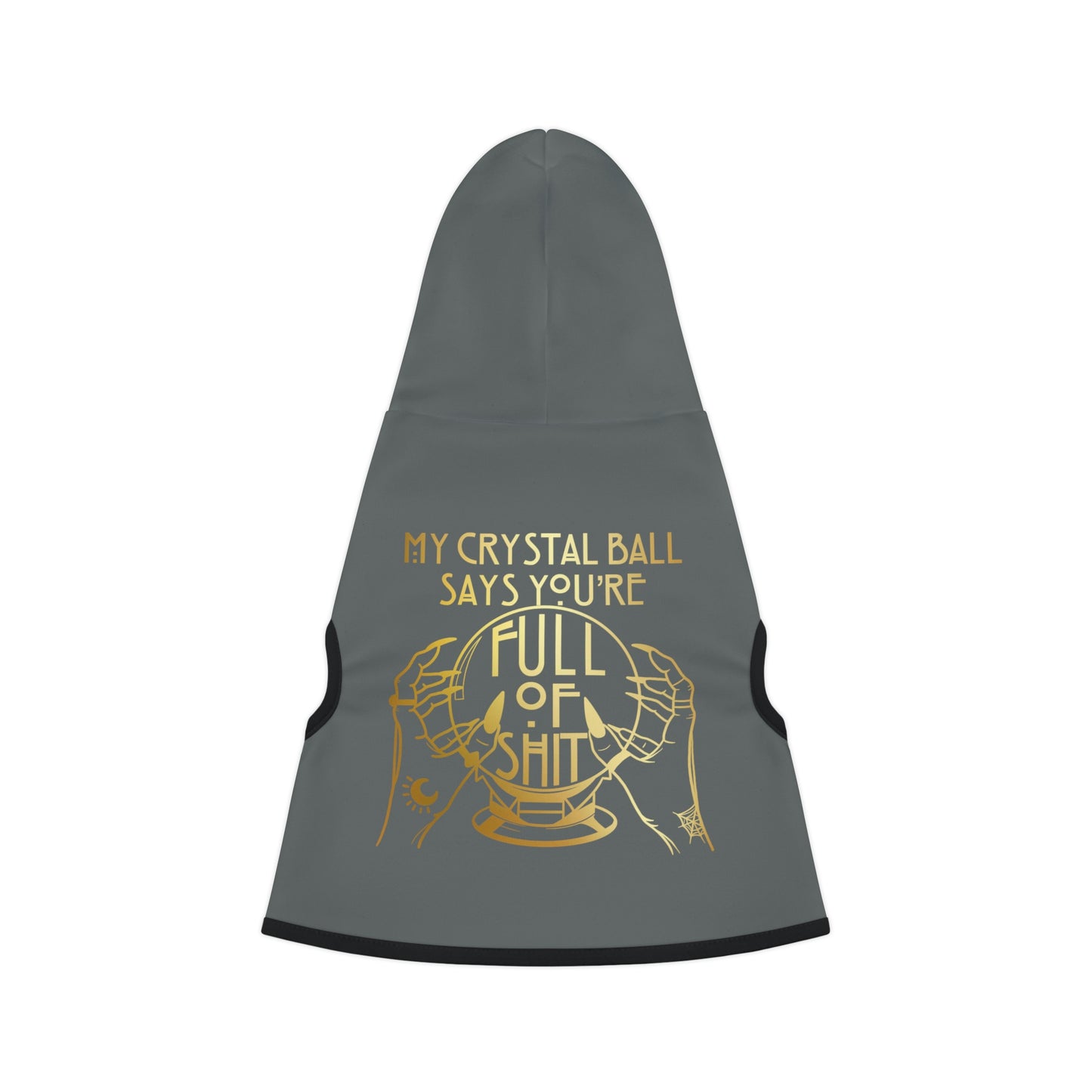 My Crystal Ball Dk Grey Dog Hoodie