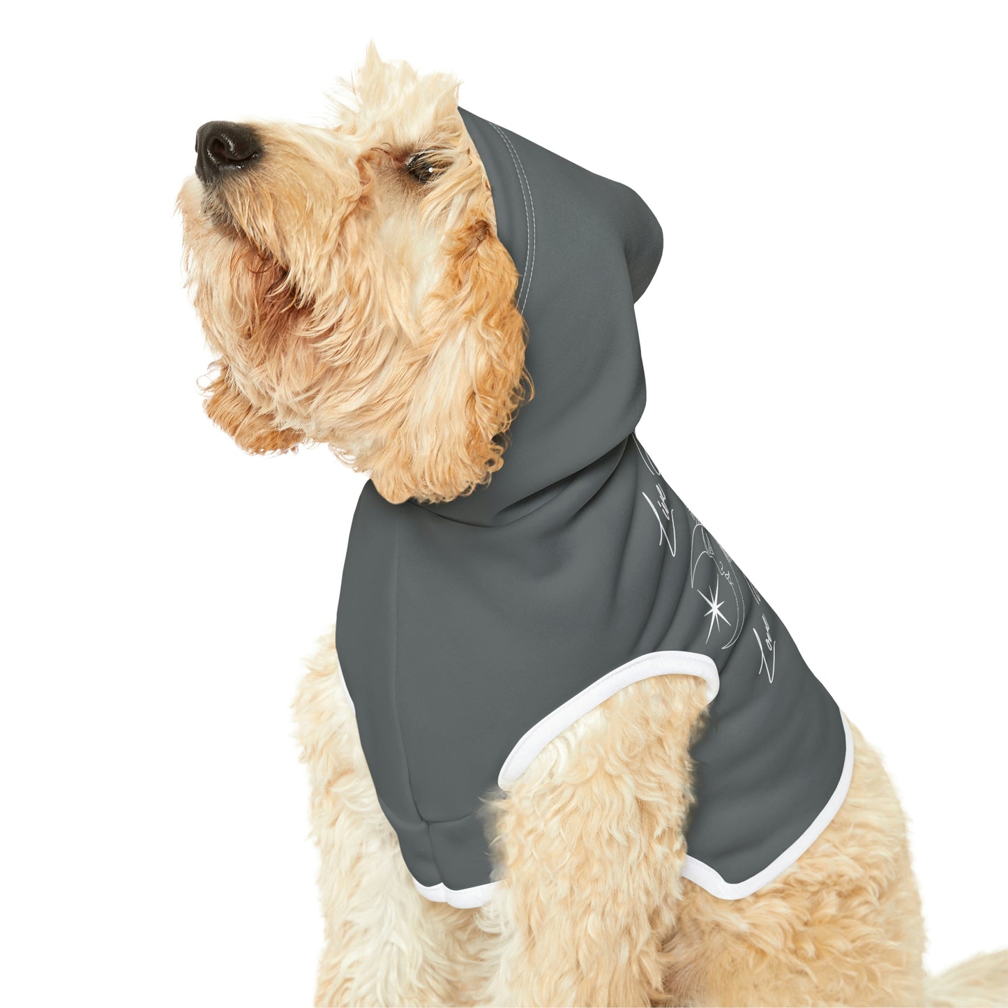 Live By the Sun Dk Grey Dog Hoodie