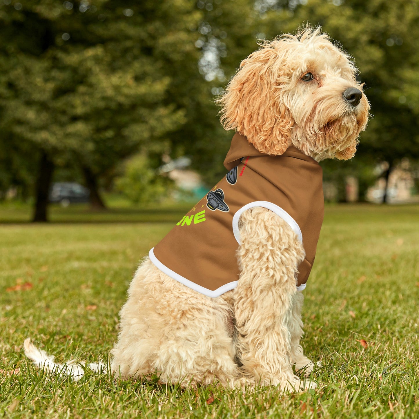 UFO Zone Lt Brown Dog Hoodie