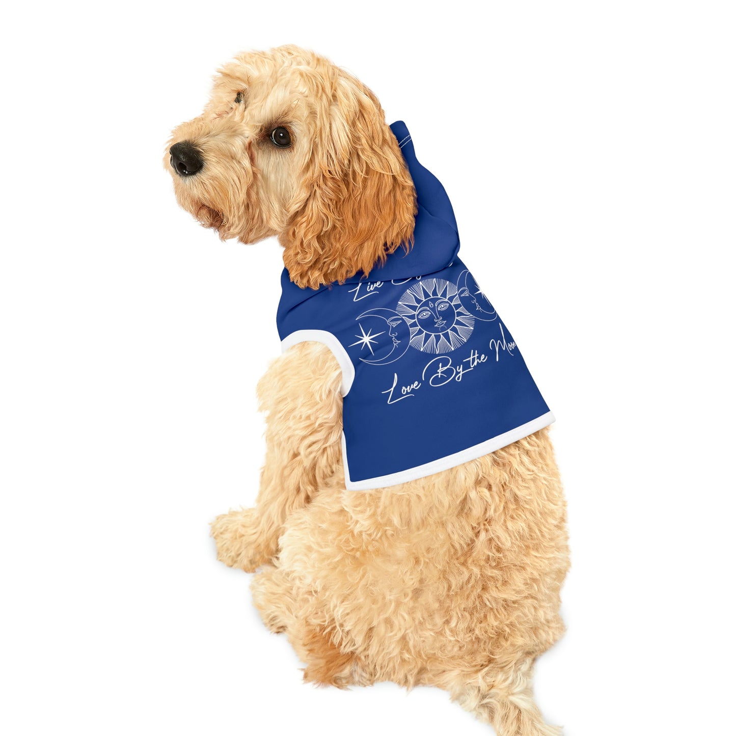 Sun and Moon Dark Blue Dog Hoodie