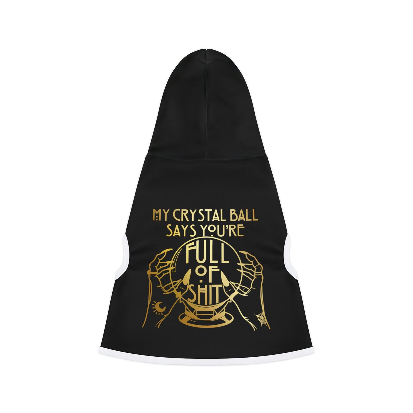 My Crystal Ball Black Dog Hoodie