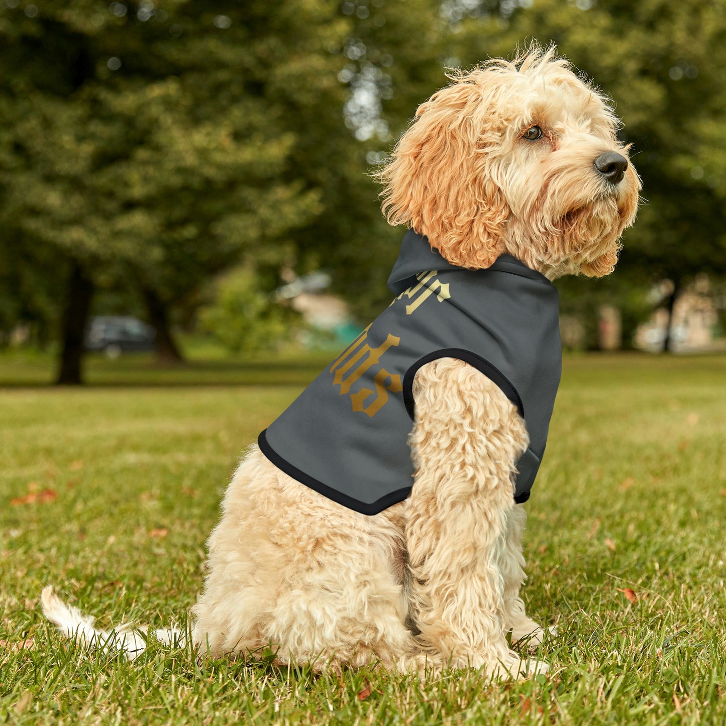 Four of Wands Dk Grey Dog Hoodie