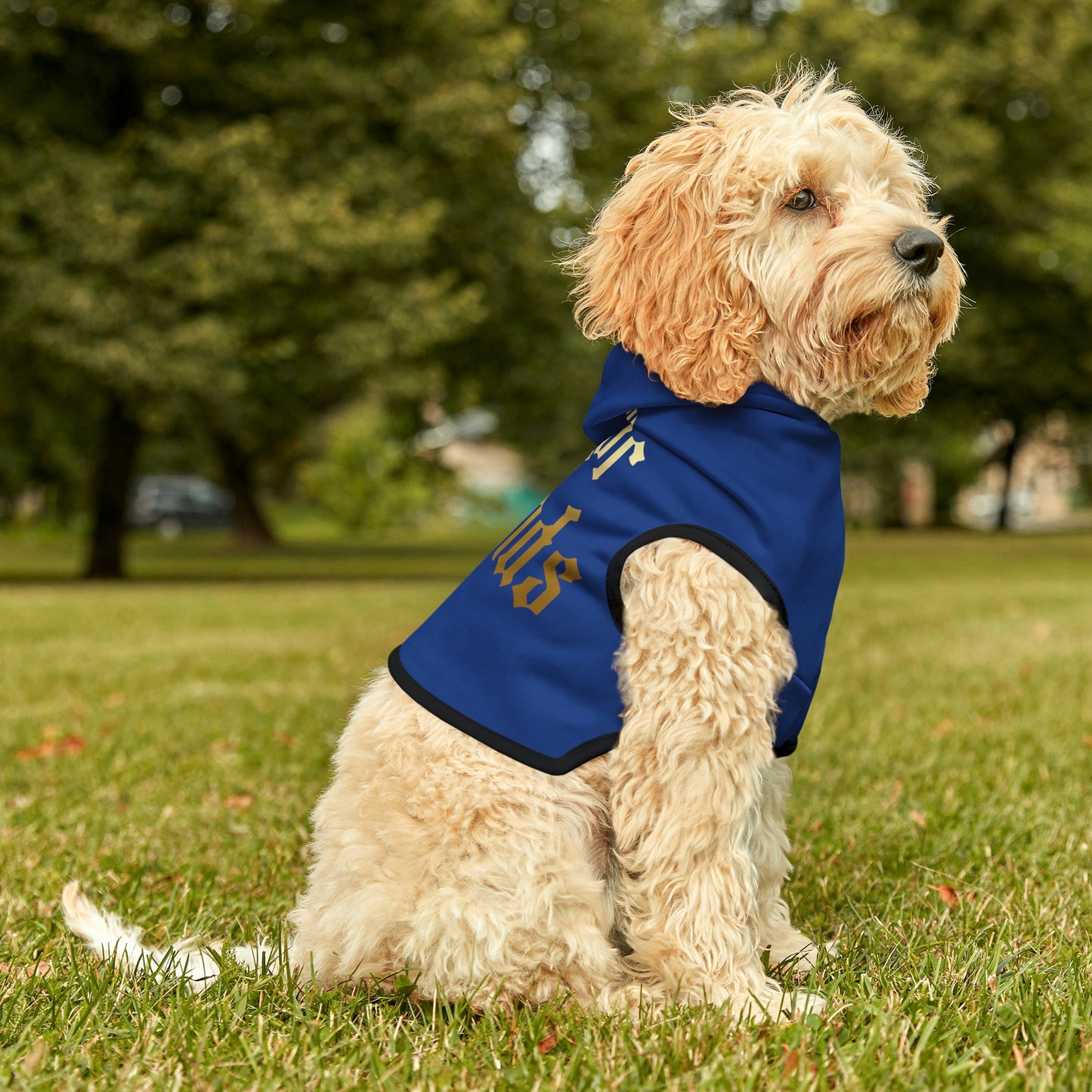 Four of Wands Dark Blue Dog Hoodie